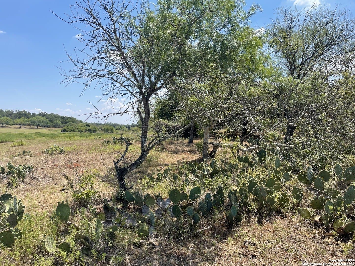 11 acres in Wilson County - photo 11