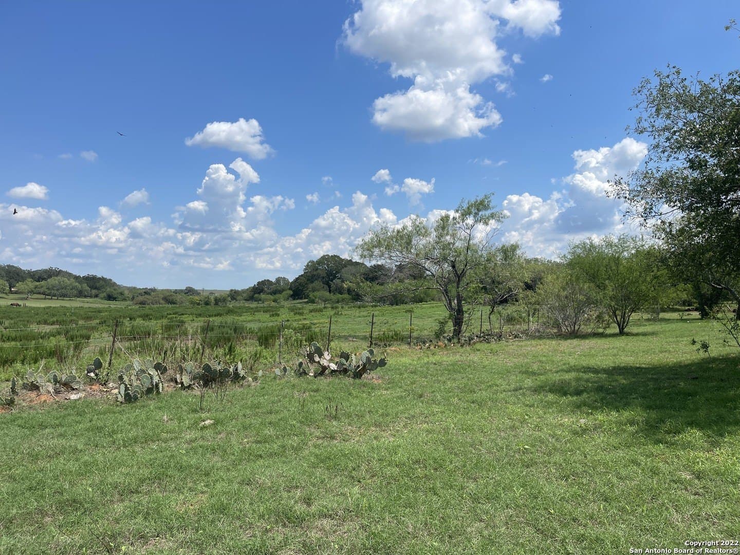11 acres in Wilson County - photo 5