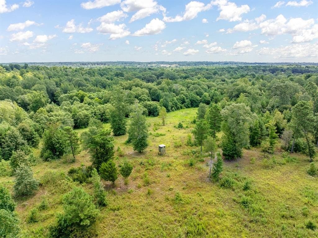 131.84 acres in Cherokee County gallery image 4