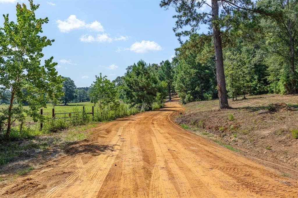 131.84 acres in Cherokee County gallery image 2