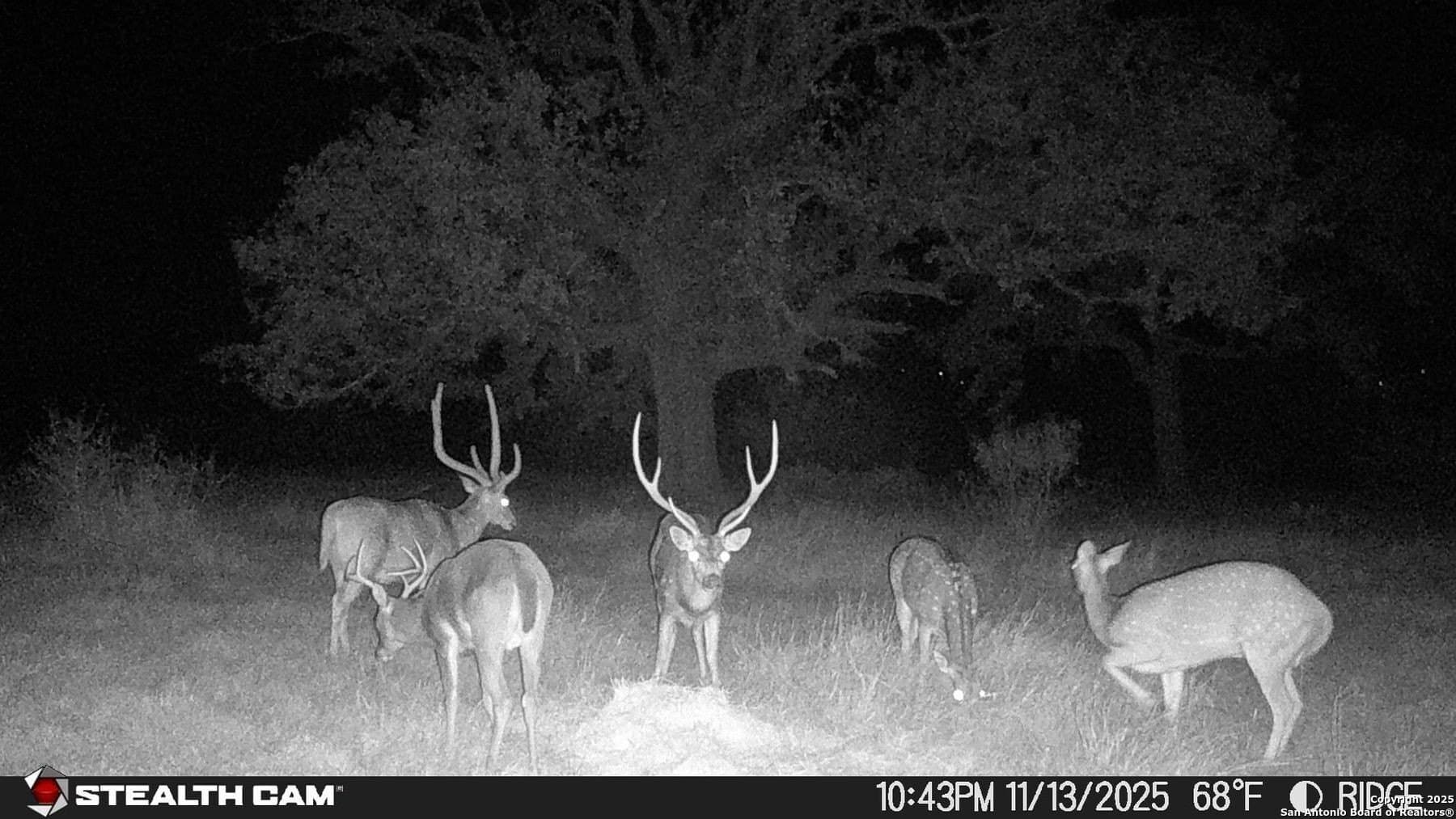 150 acres in Bandera County gallery image 4