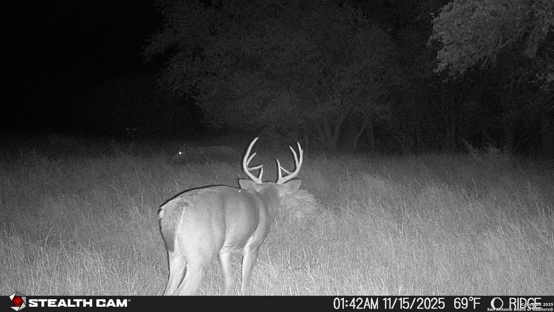 150 acres in Bandera County - photo 39