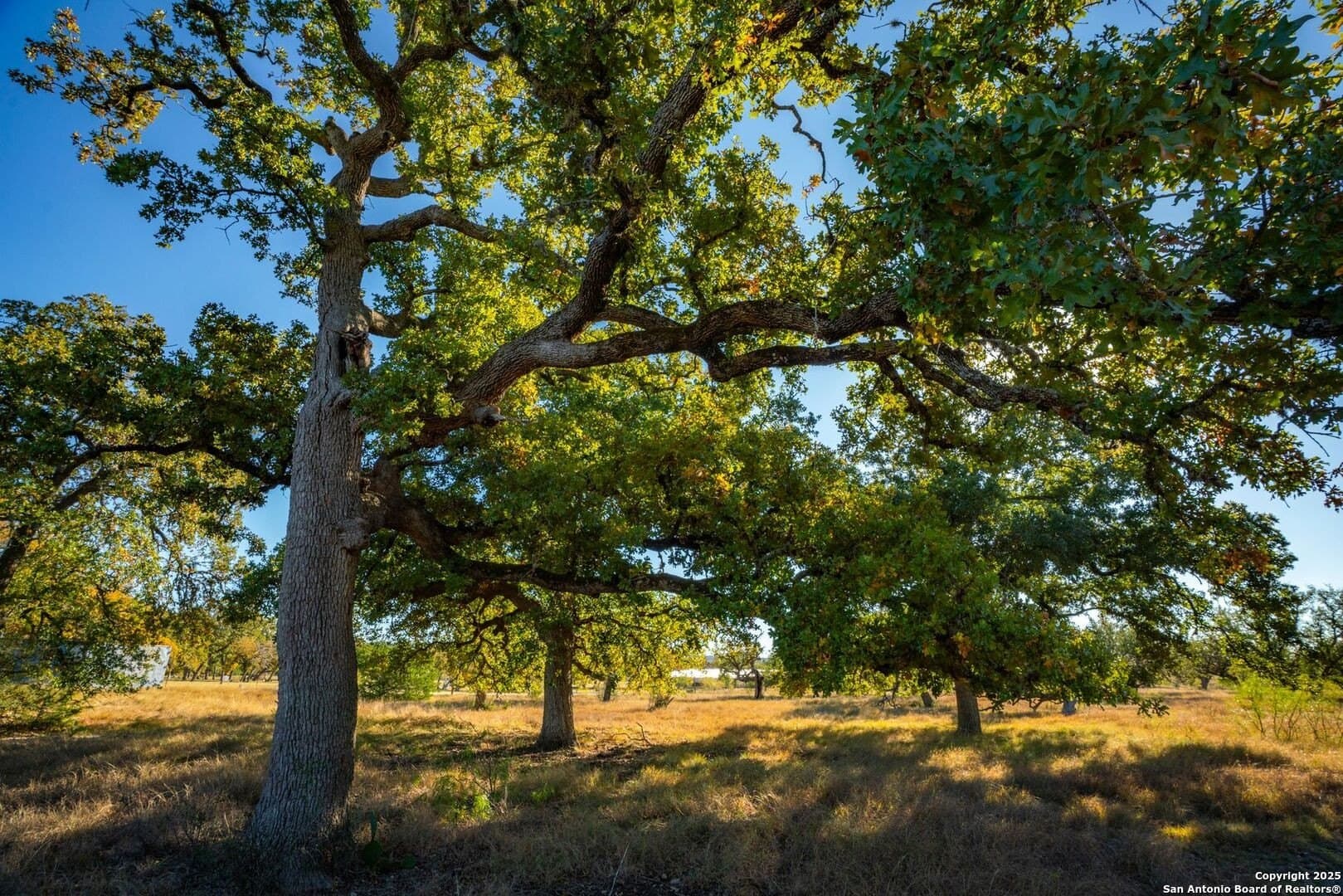 150 acres in Bandera County - photo 26