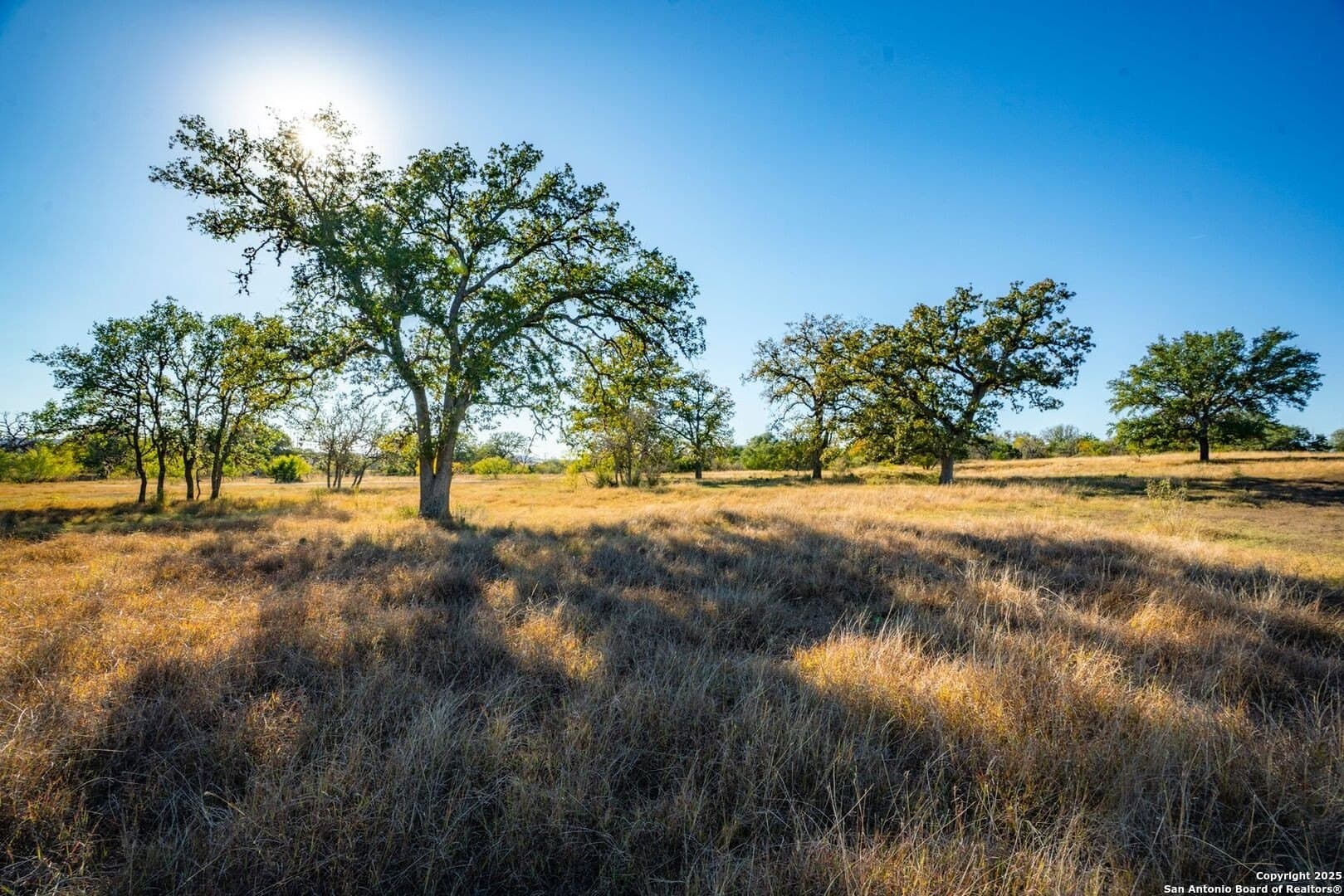 150 acres in Bandera County - photo 24