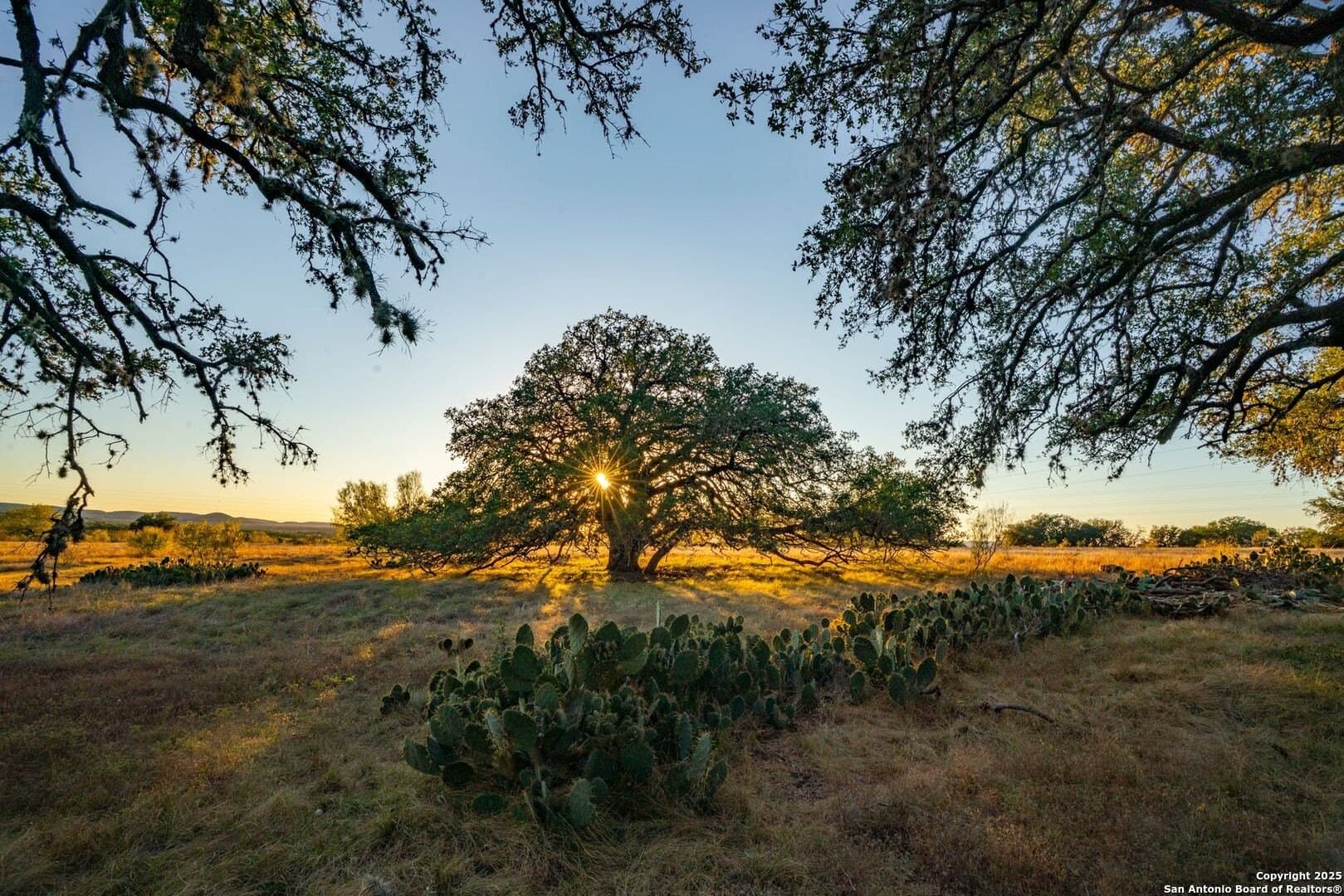 150 acres in Bandera County featured view
