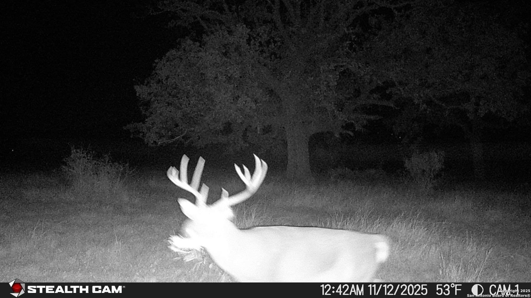 150 acres in Bandera County - photo 35