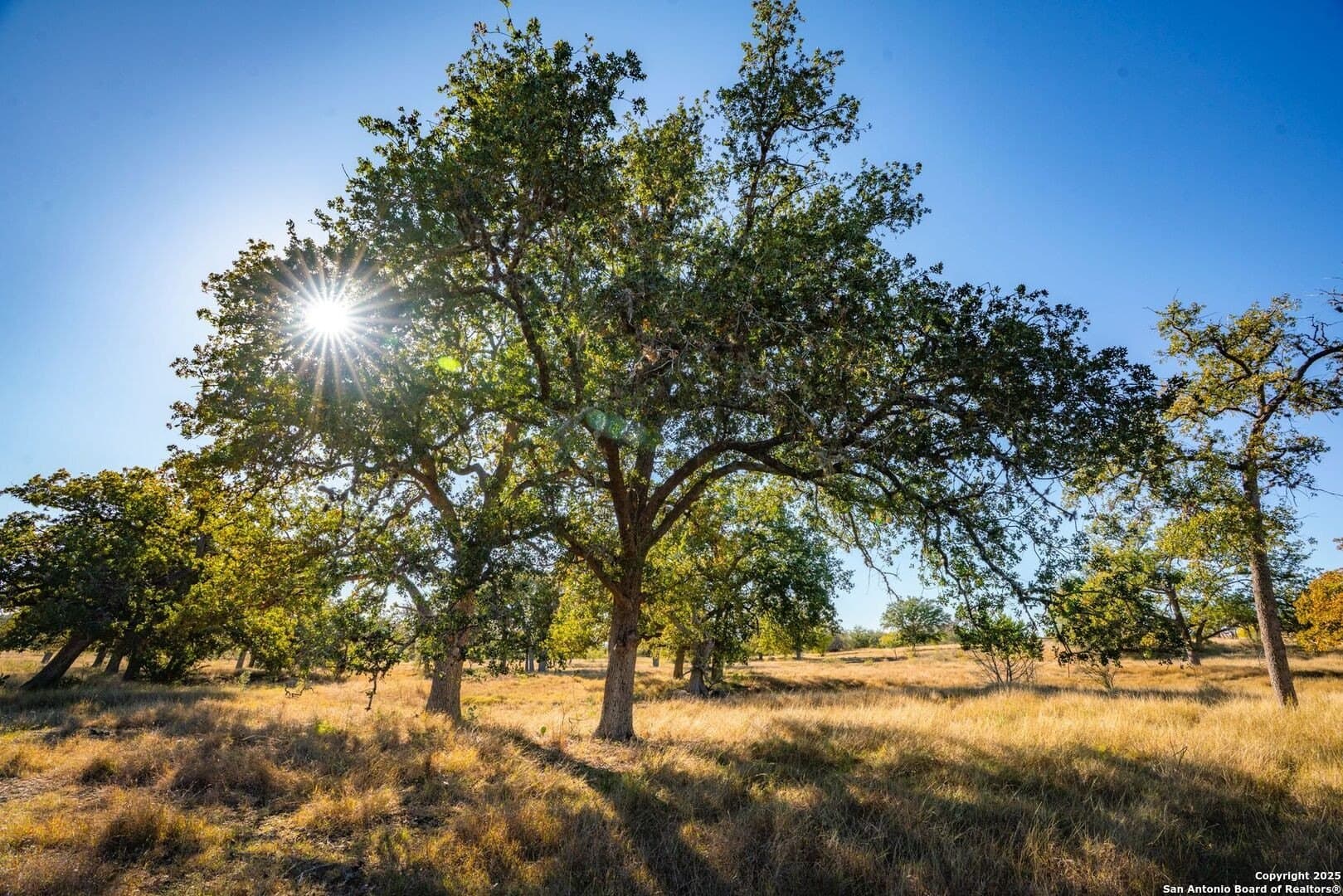 150 acres in Bandera County - photo 22