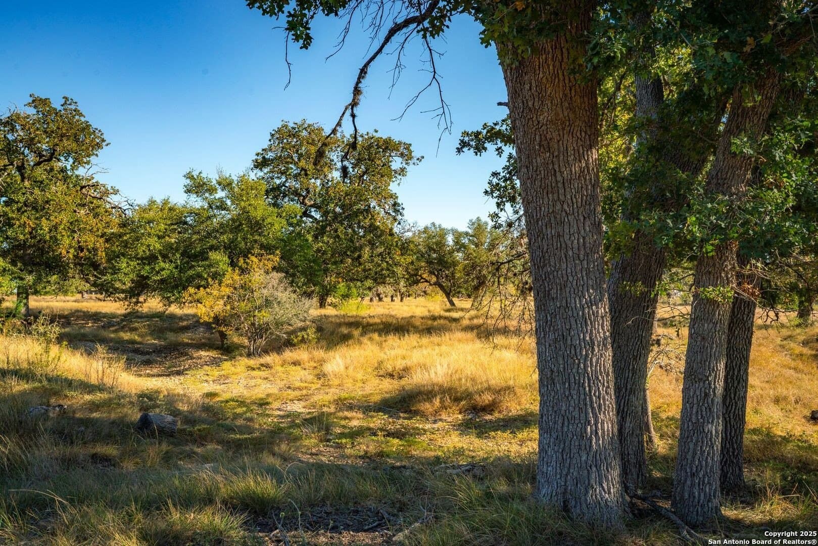 150 acres in Bandera County - photo 25