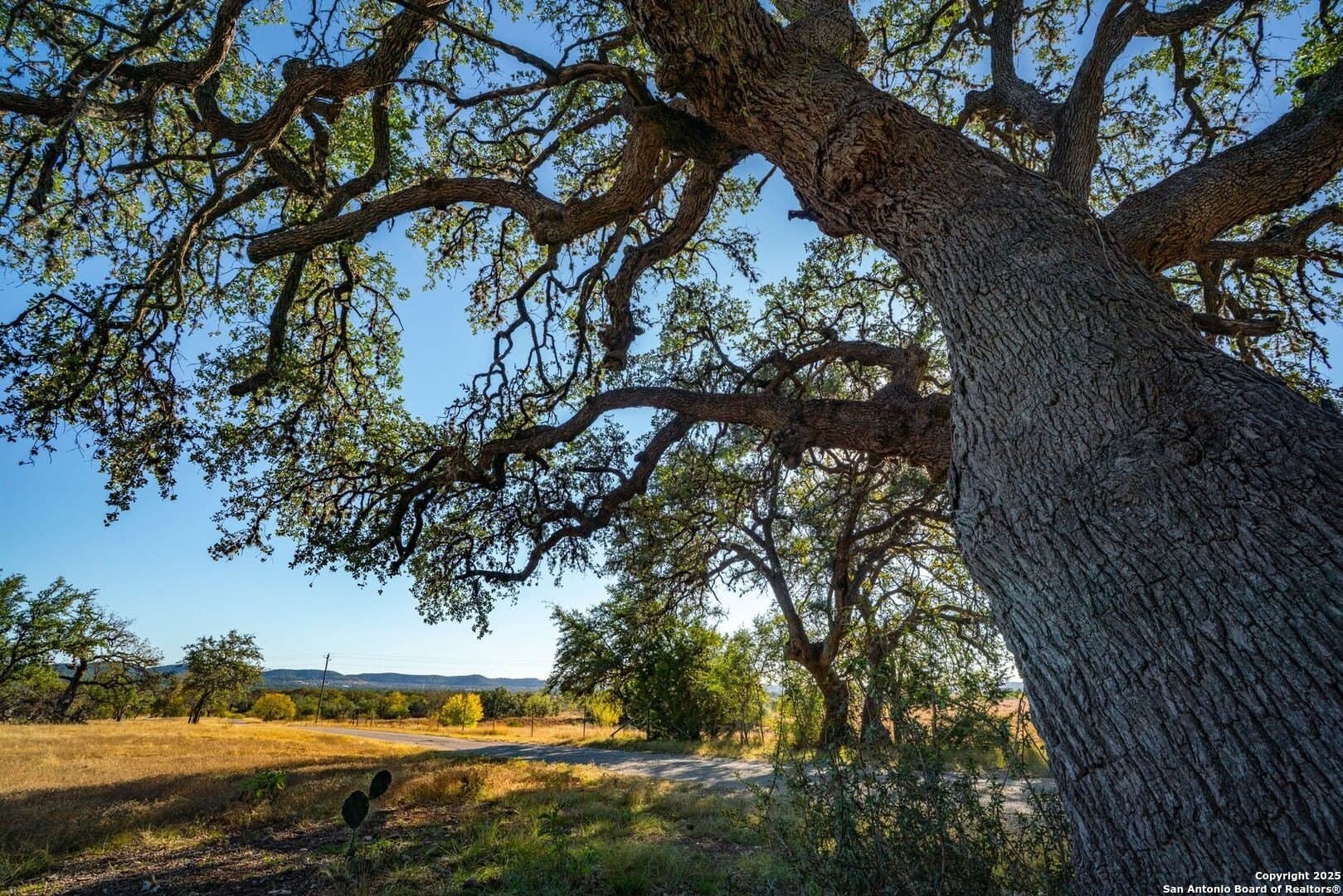150 acres in Bandera County - photo 29