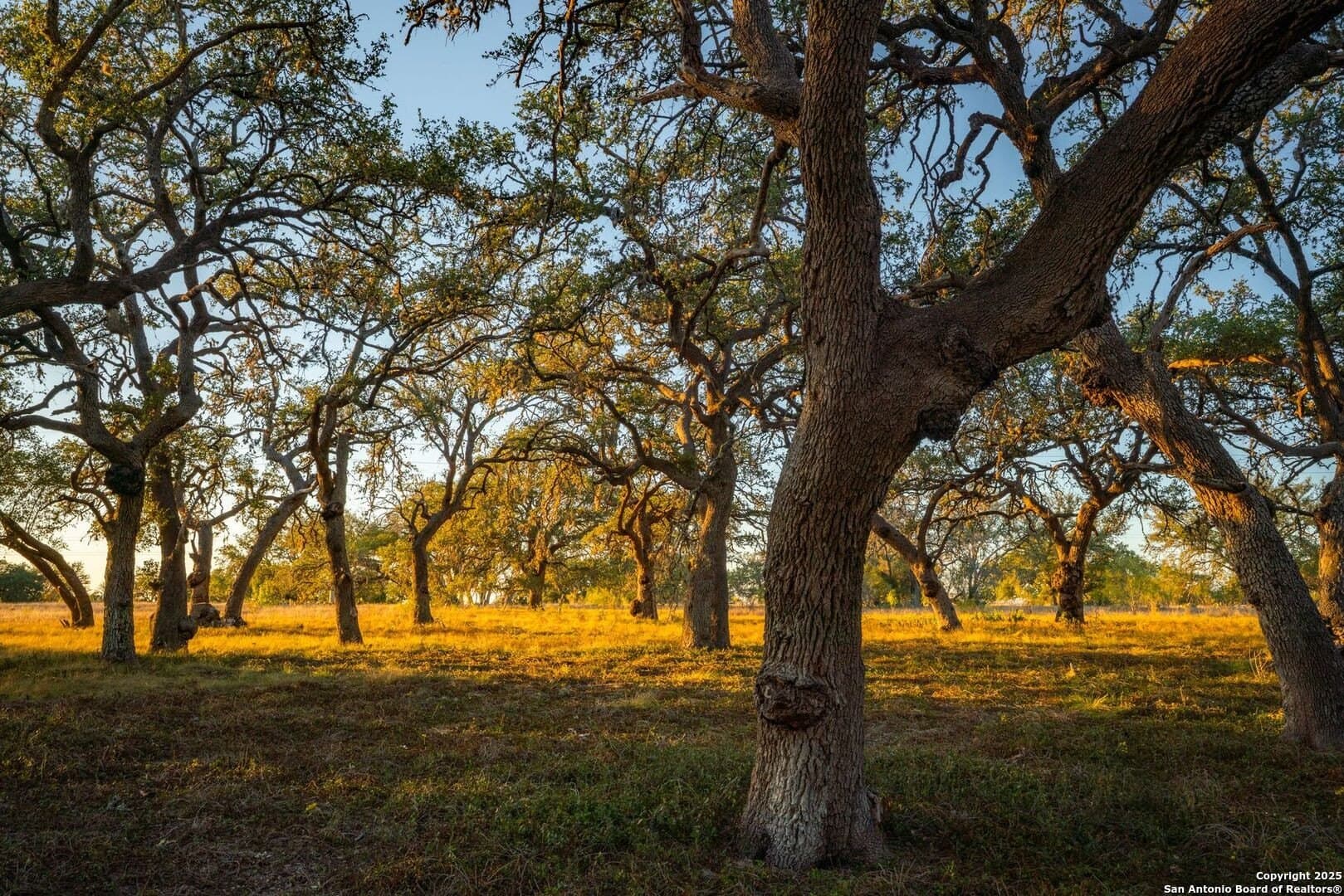 150 acres in Bandera County - photo 6