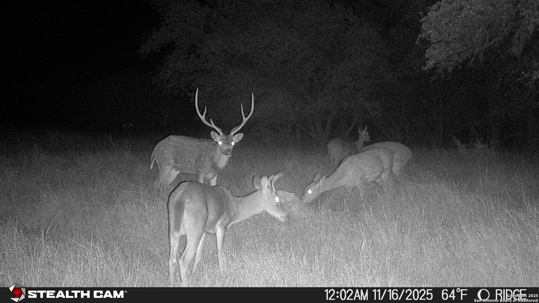 150 acres in Bandera County - photo 40