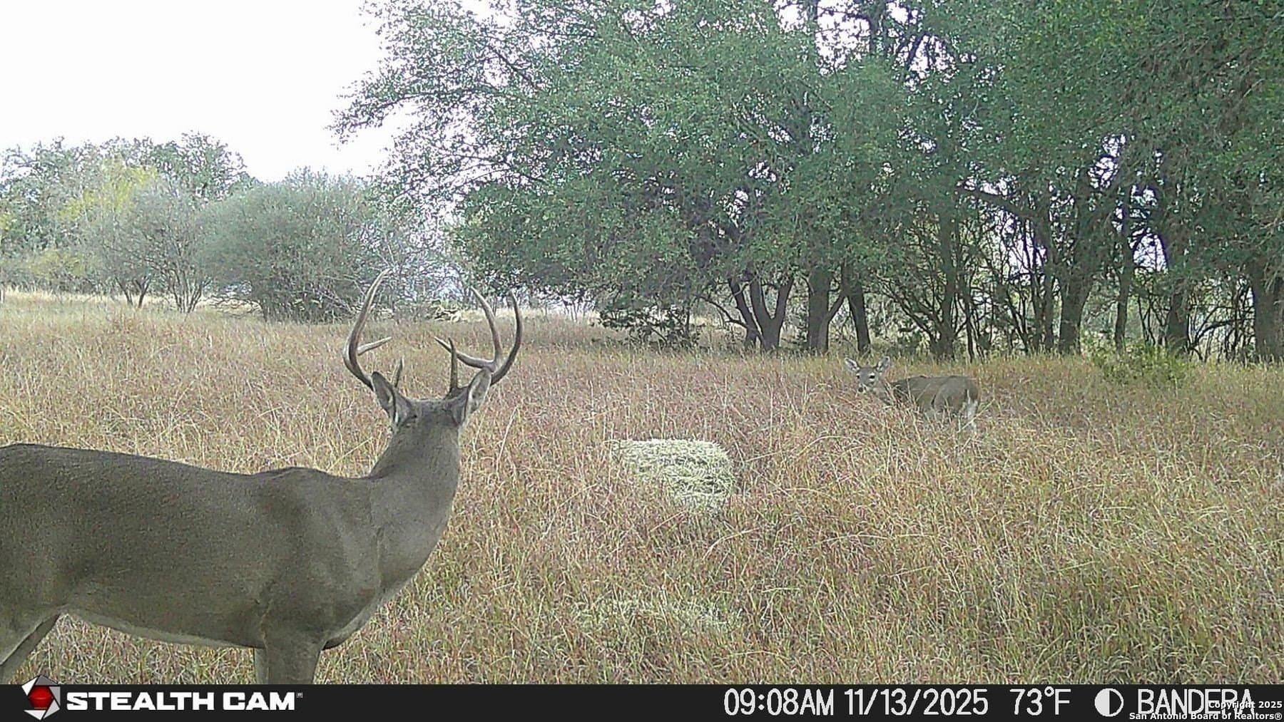 150 acres in Bandera County - photo 37