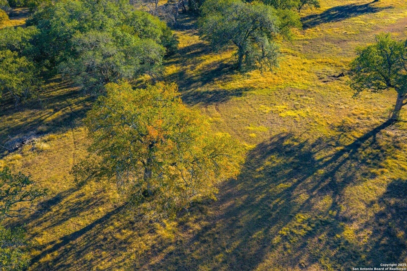 150 acres in Bandera County - photo 17