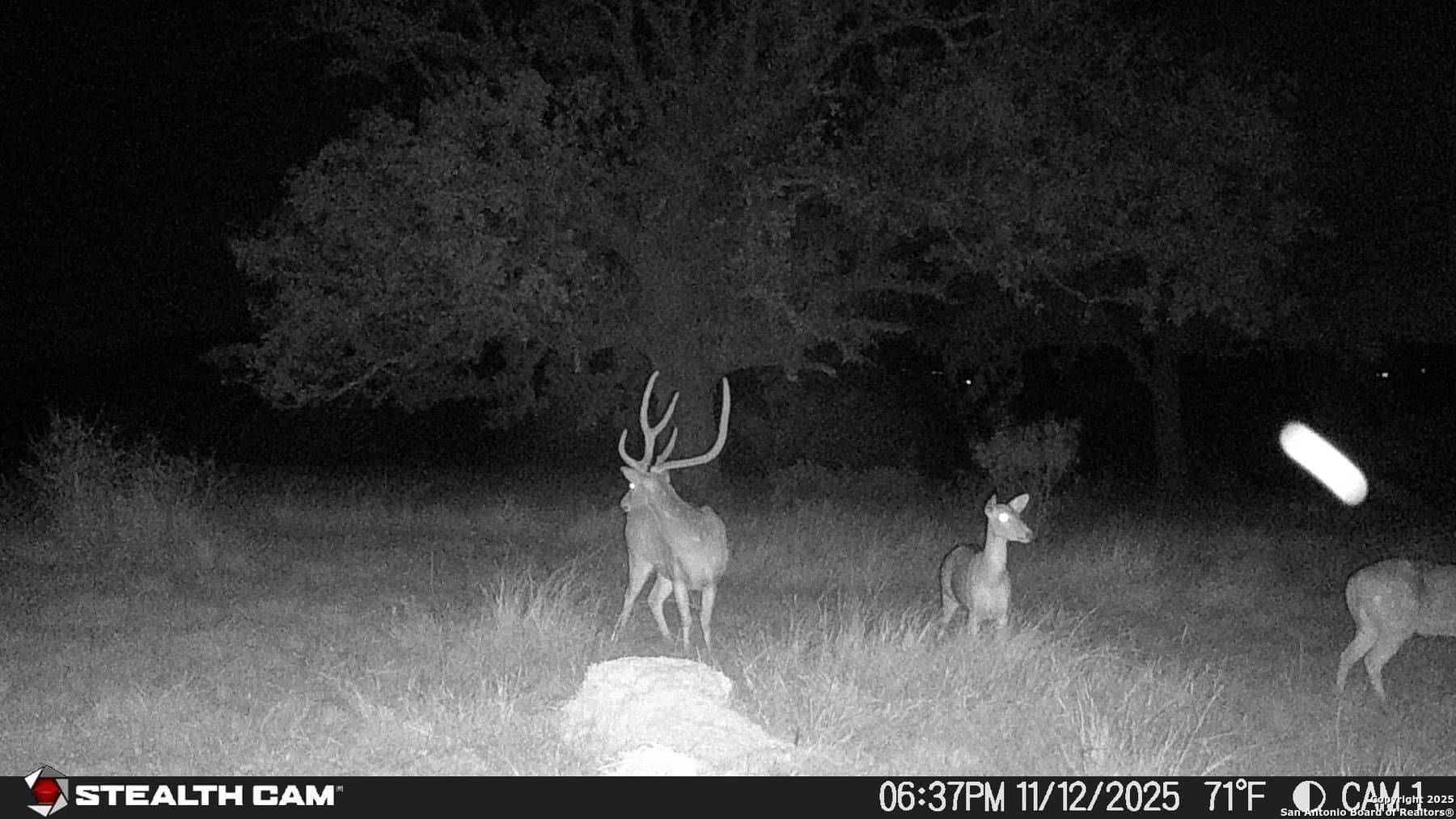 150 acres in Bandera County - photo 36
