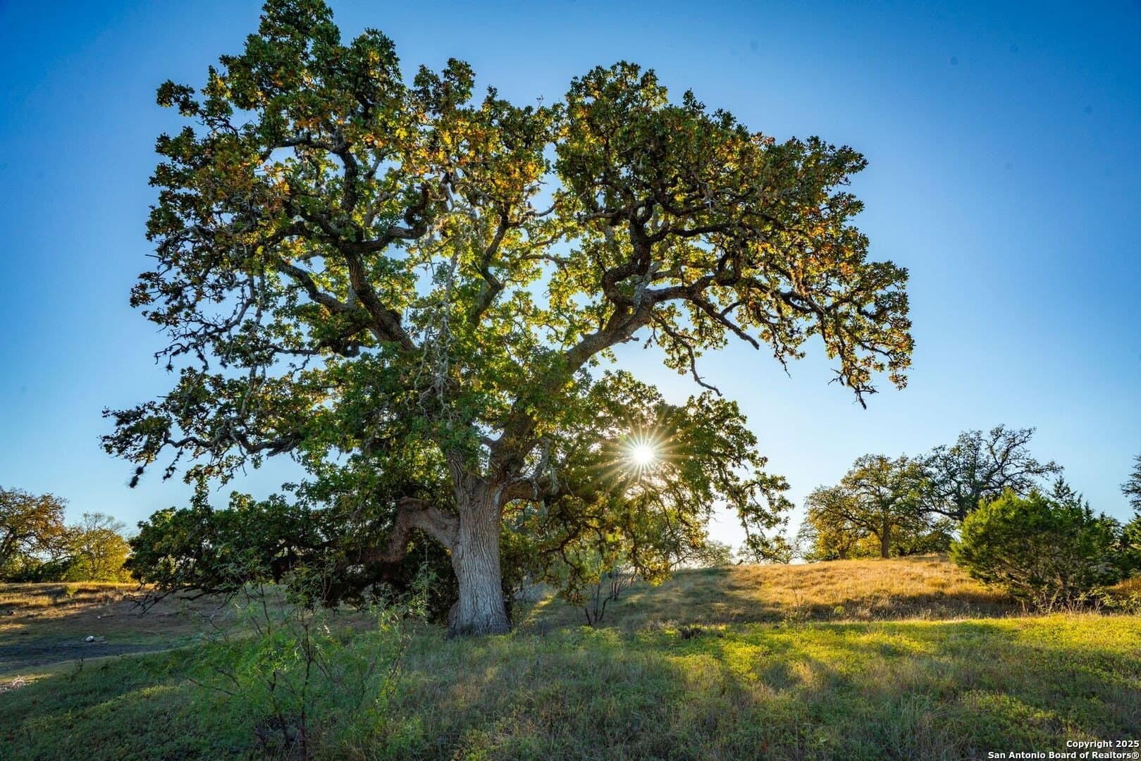 150 acres in Bandera County - photo 32