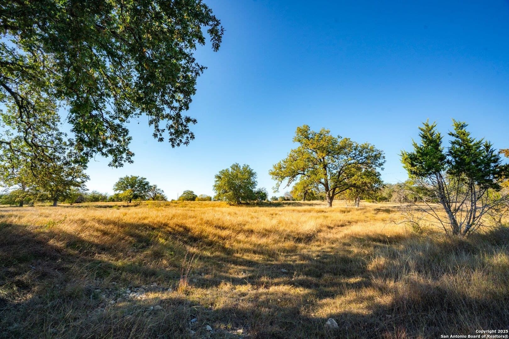 150 acres in Bandera County - photo 23