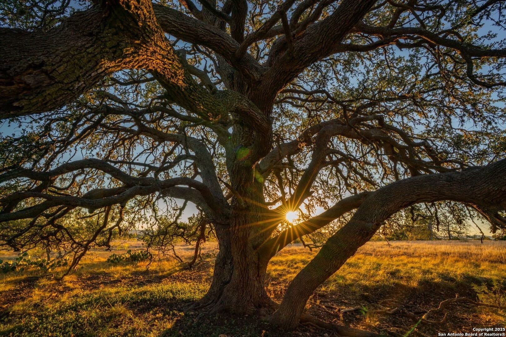 150 acres in Bandera County - photo 7