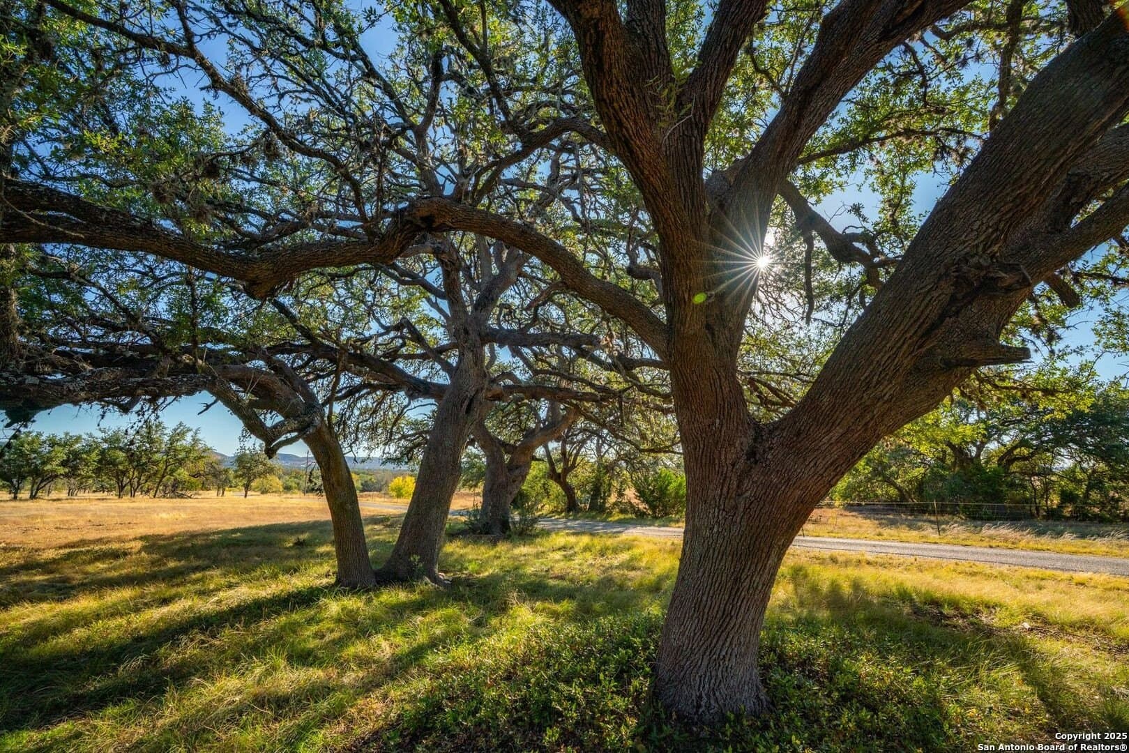 150 acres in Bandera County - photo 30