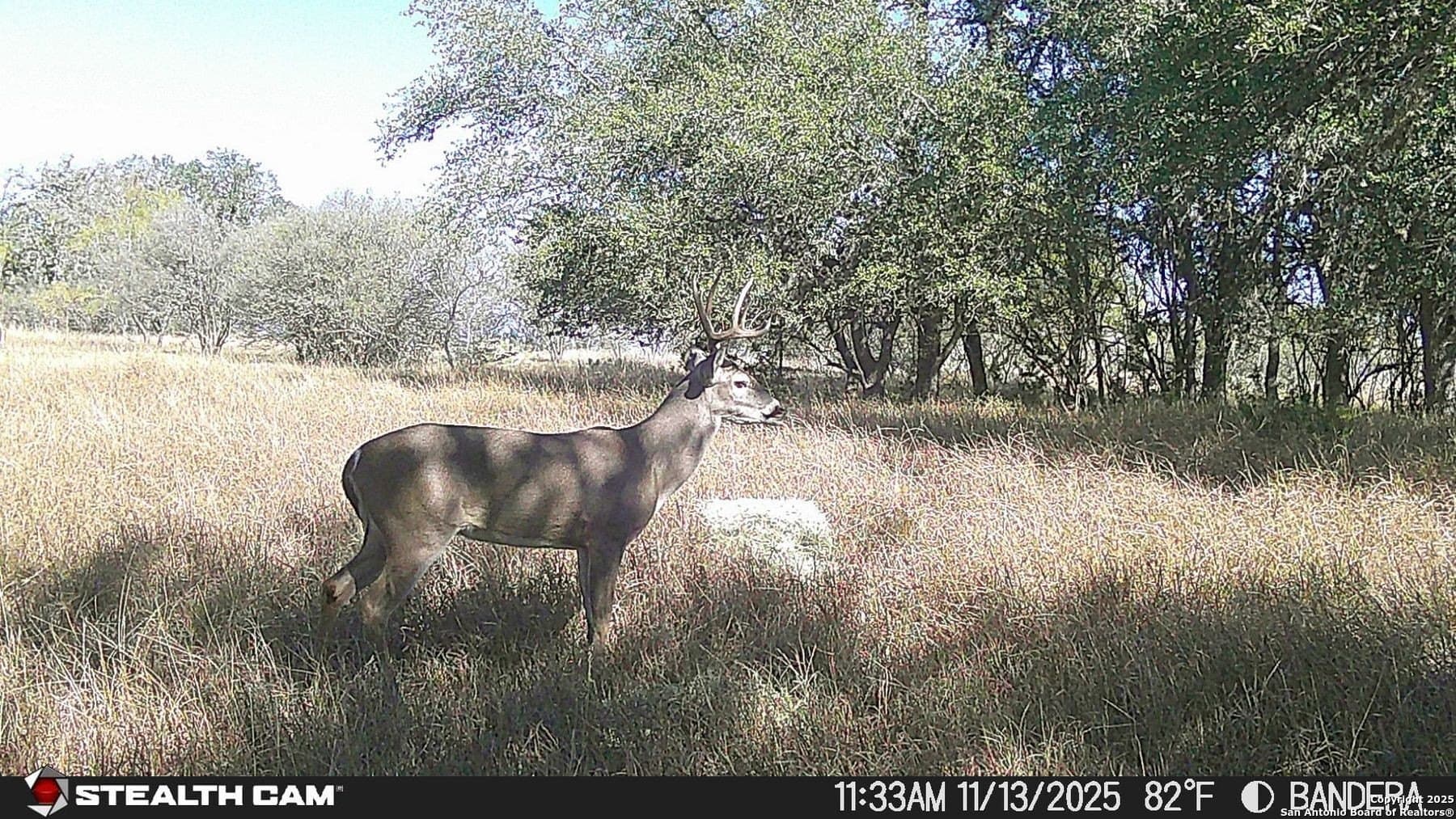 150 acres in Bandera County - photo 38