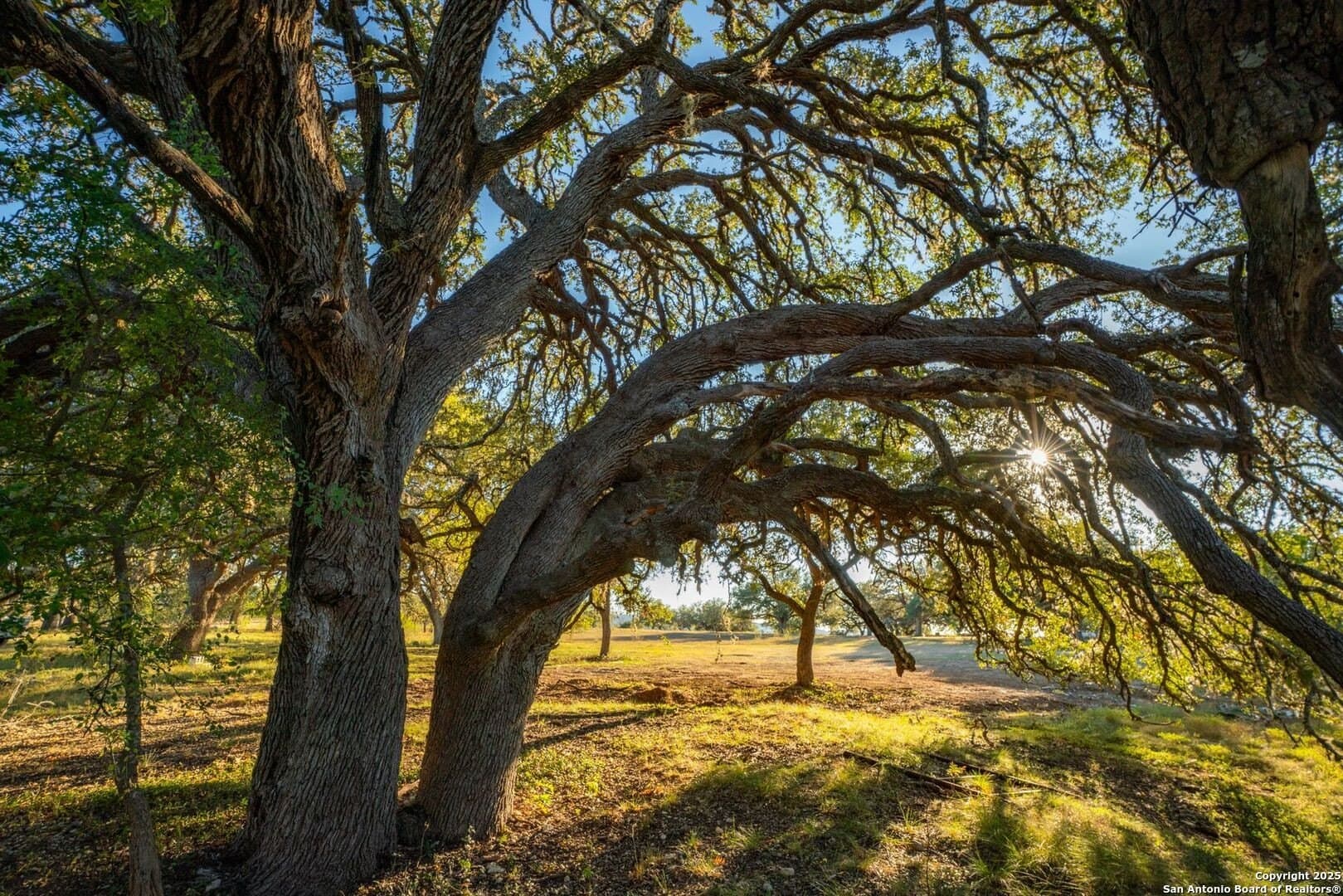 150 acres in Bandera County - photo 31