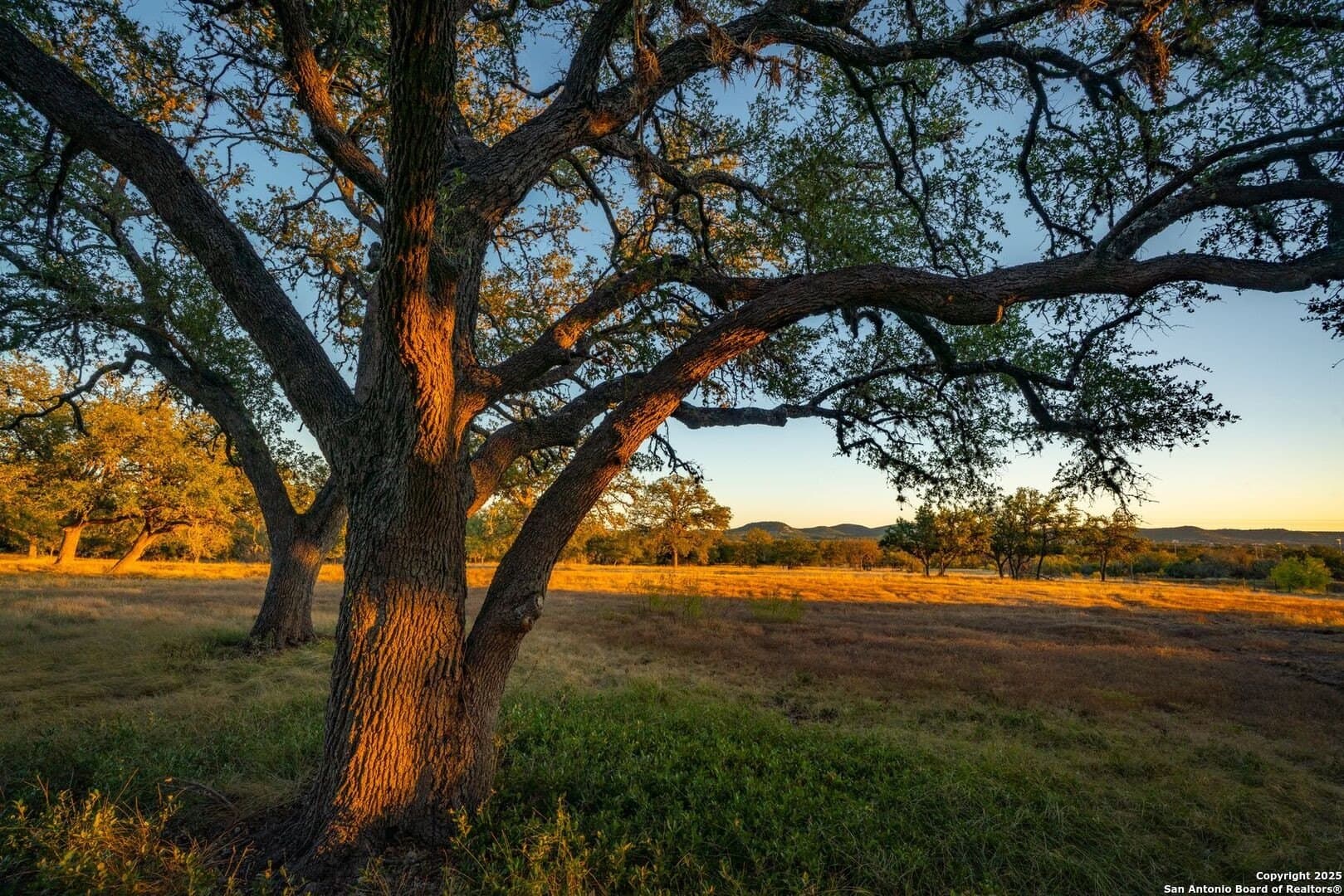 150 acres in Bandera County gallery image 3