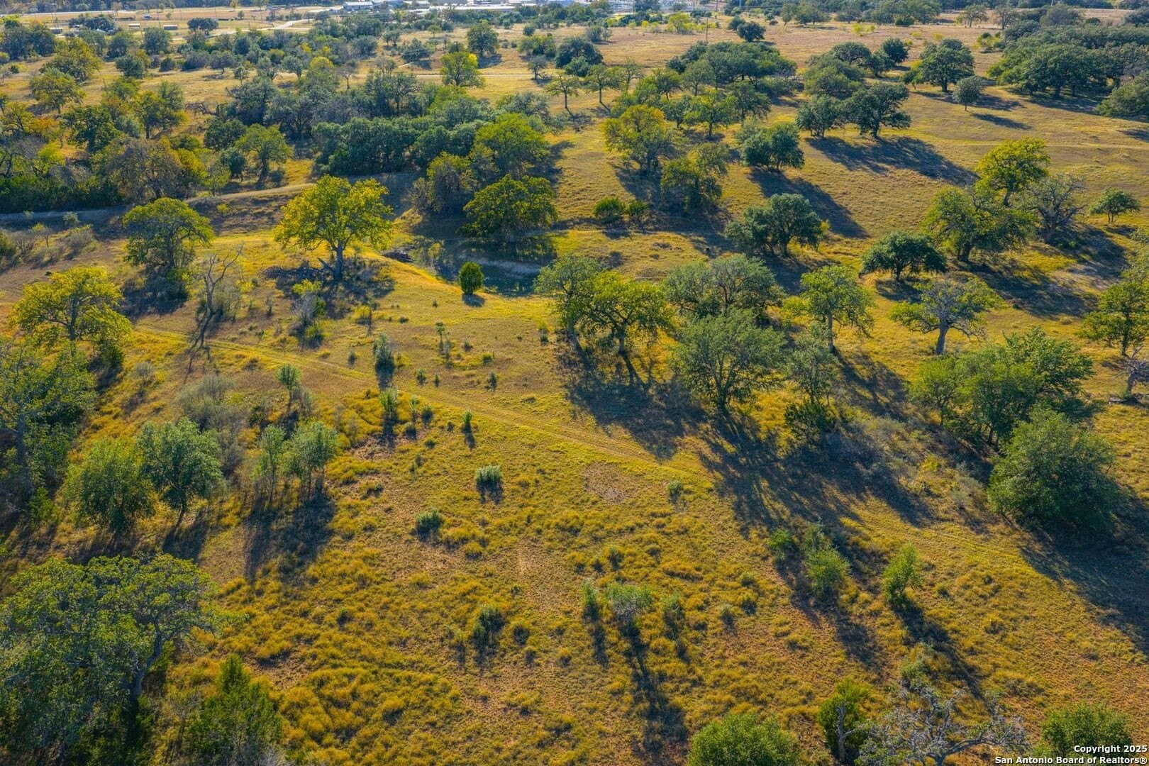 150 acres in Bandera County - photo 14