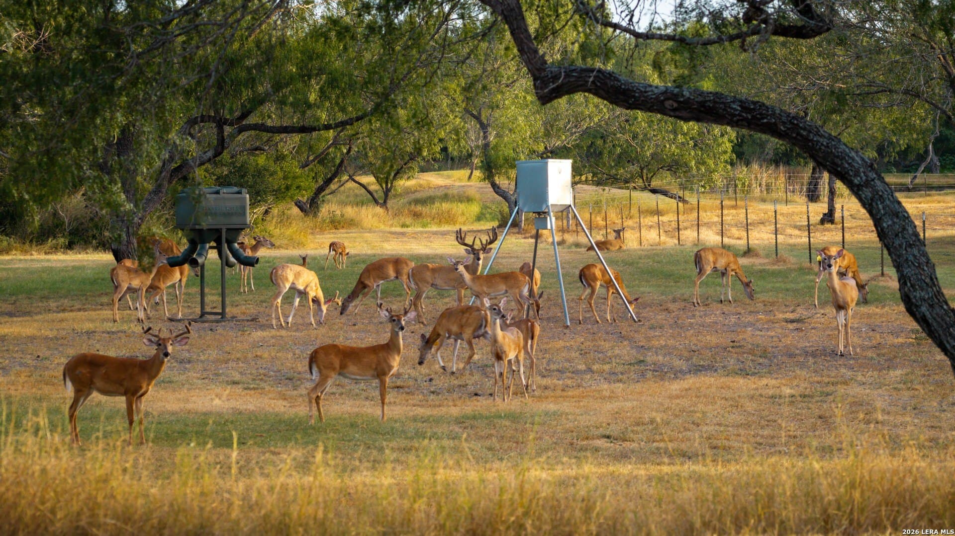 143.57 acres in Karnes County - photo 8
