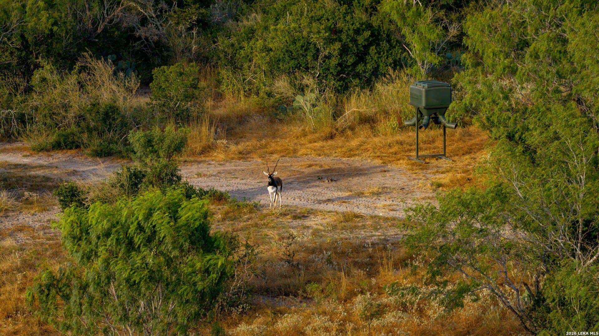 143.57 acres in Karnes County - photo 10