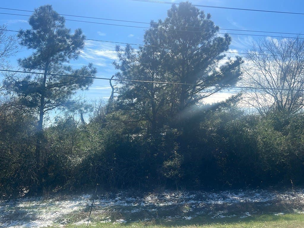 1.2 acres in Austin County featured view