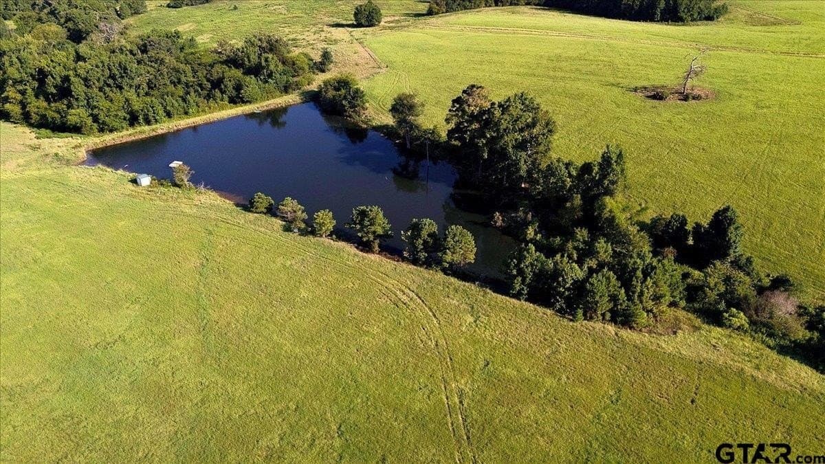 237.5 acres in Smith County - photo 46
