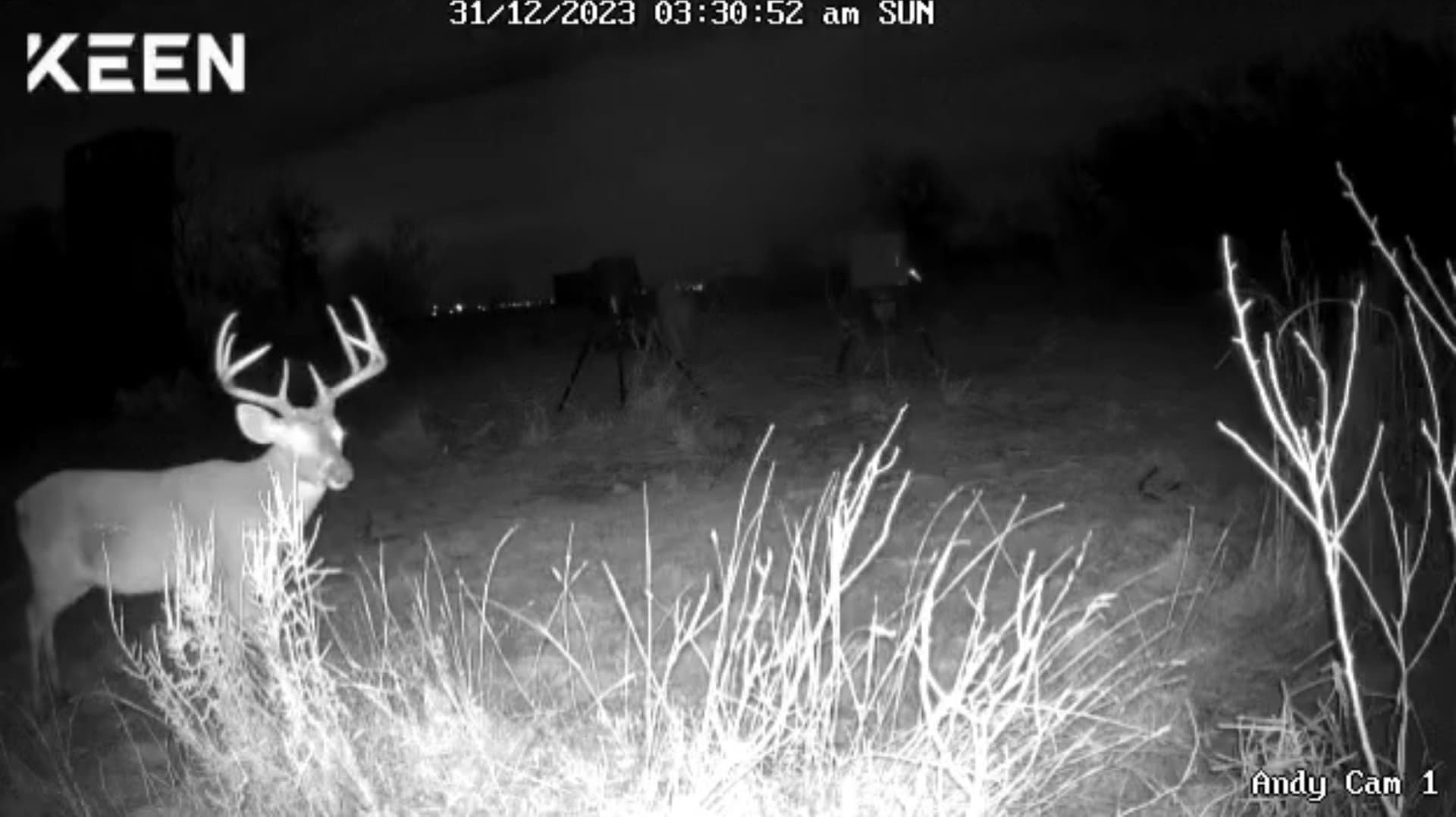 56.48 acres in Coleman County - photo 33