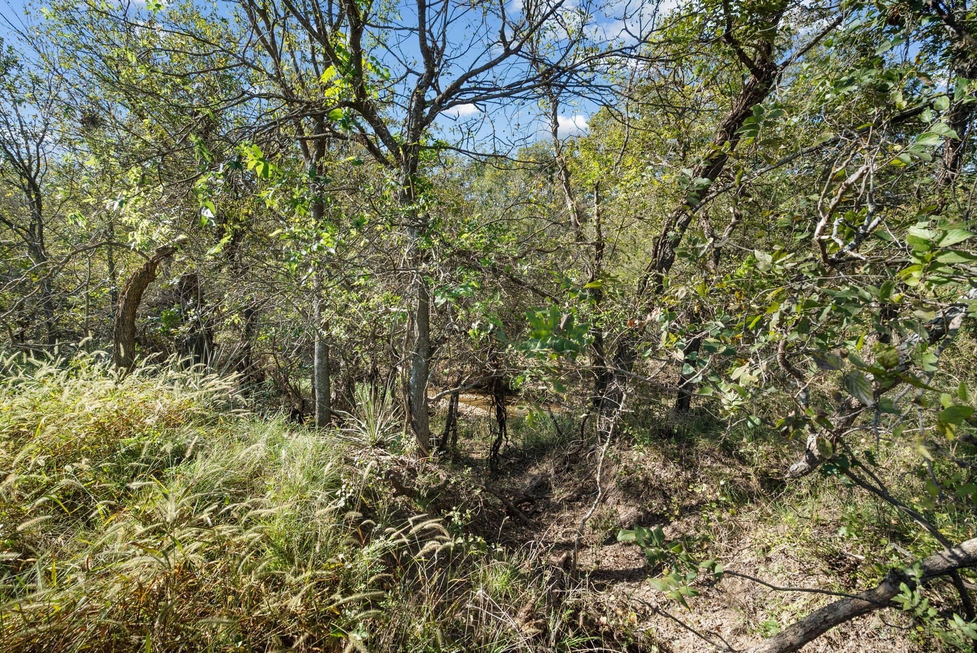 56.48 acres in Coleman County - photo 23