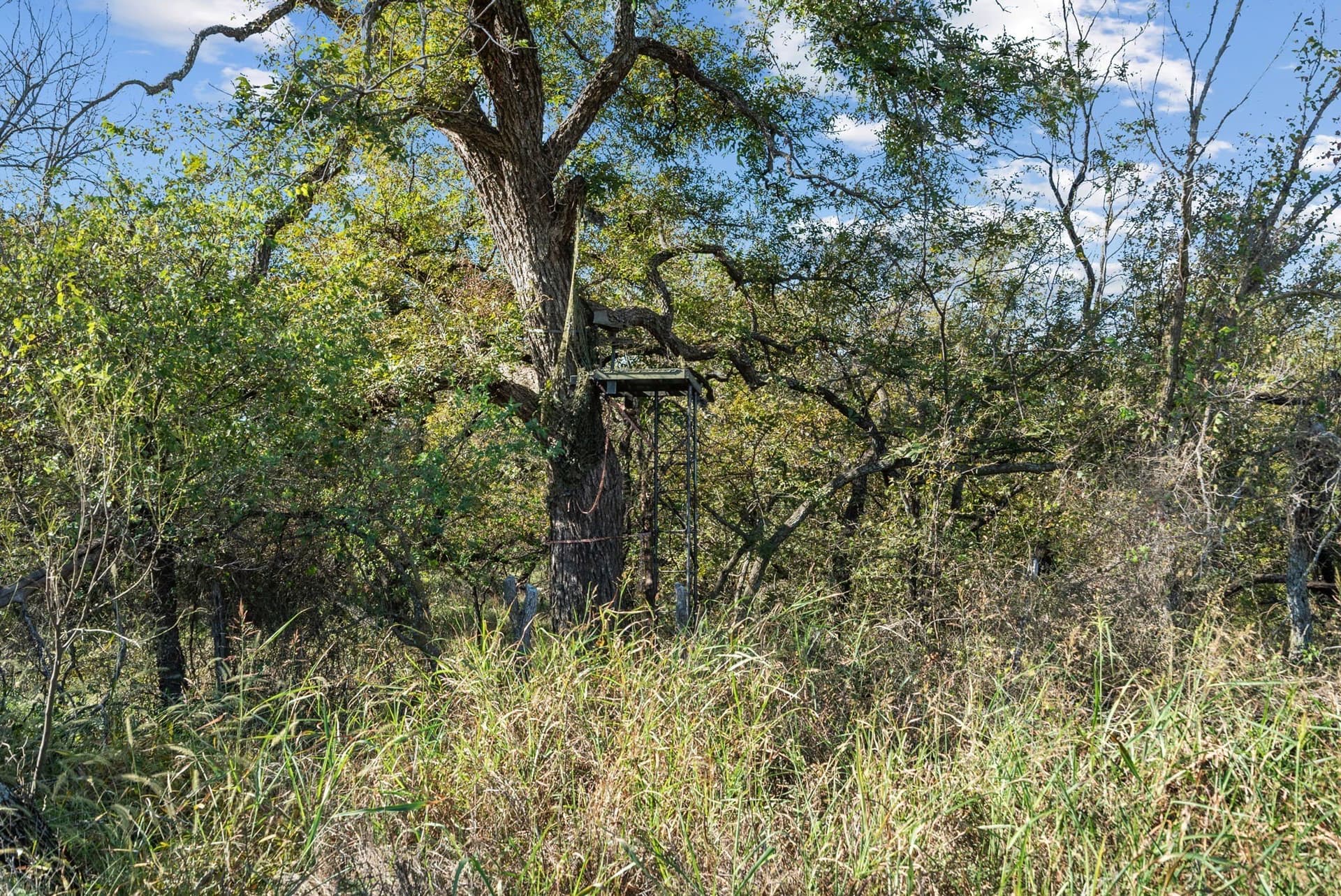 56.48 acres in Coleman County - photo 27