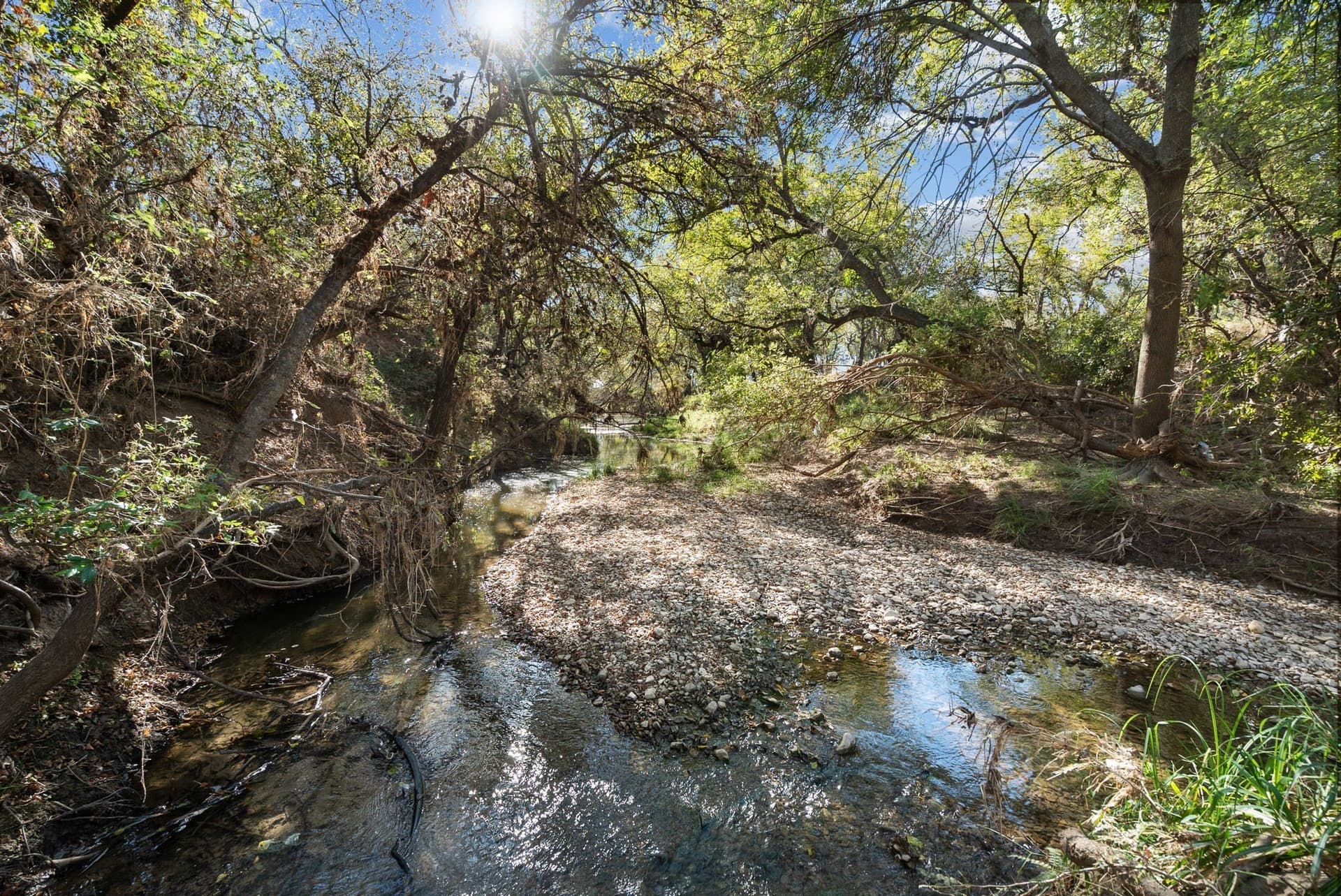 56.48 acres in Coleman County - photo 26