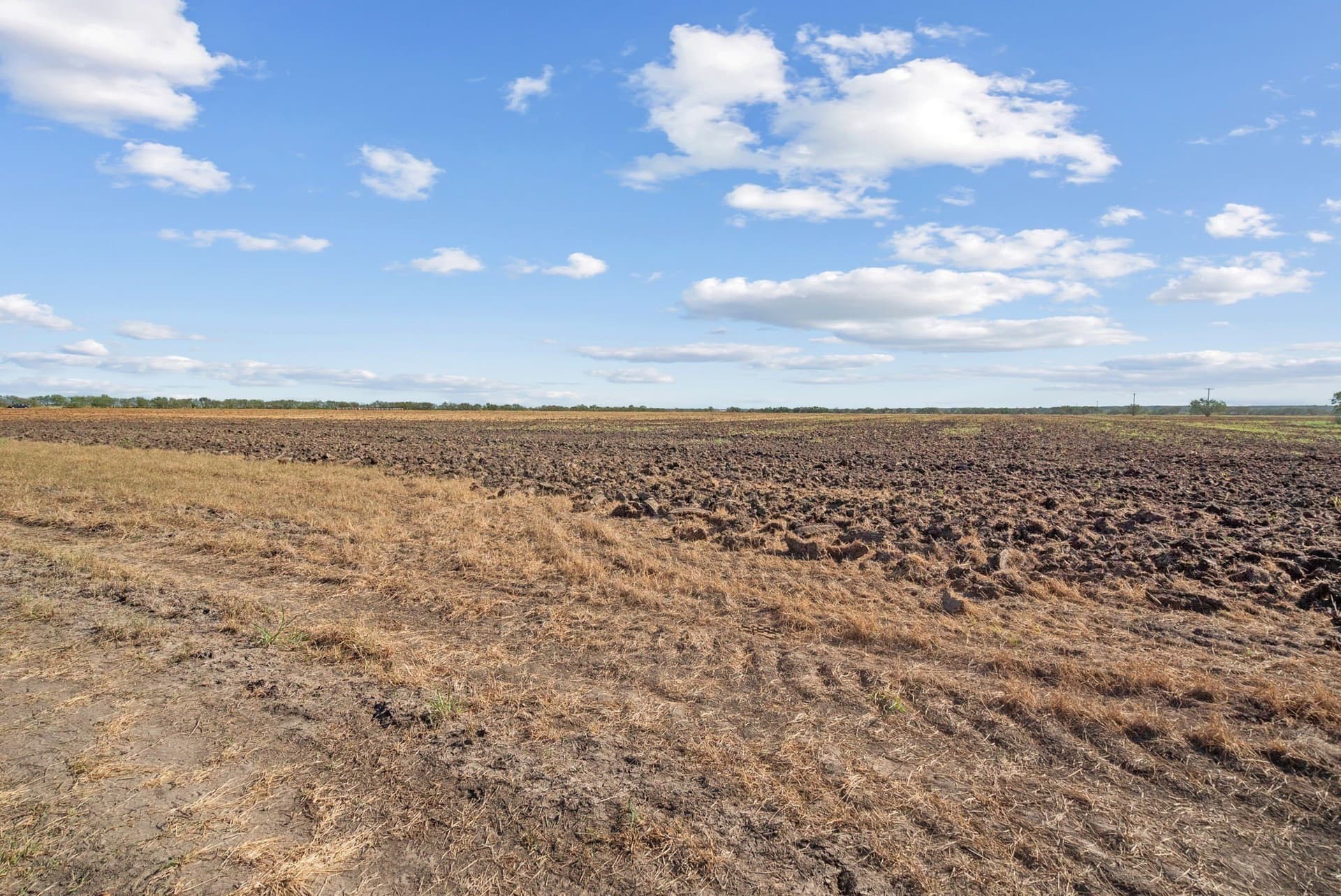 56.48 acres in Coleman County - photo 29