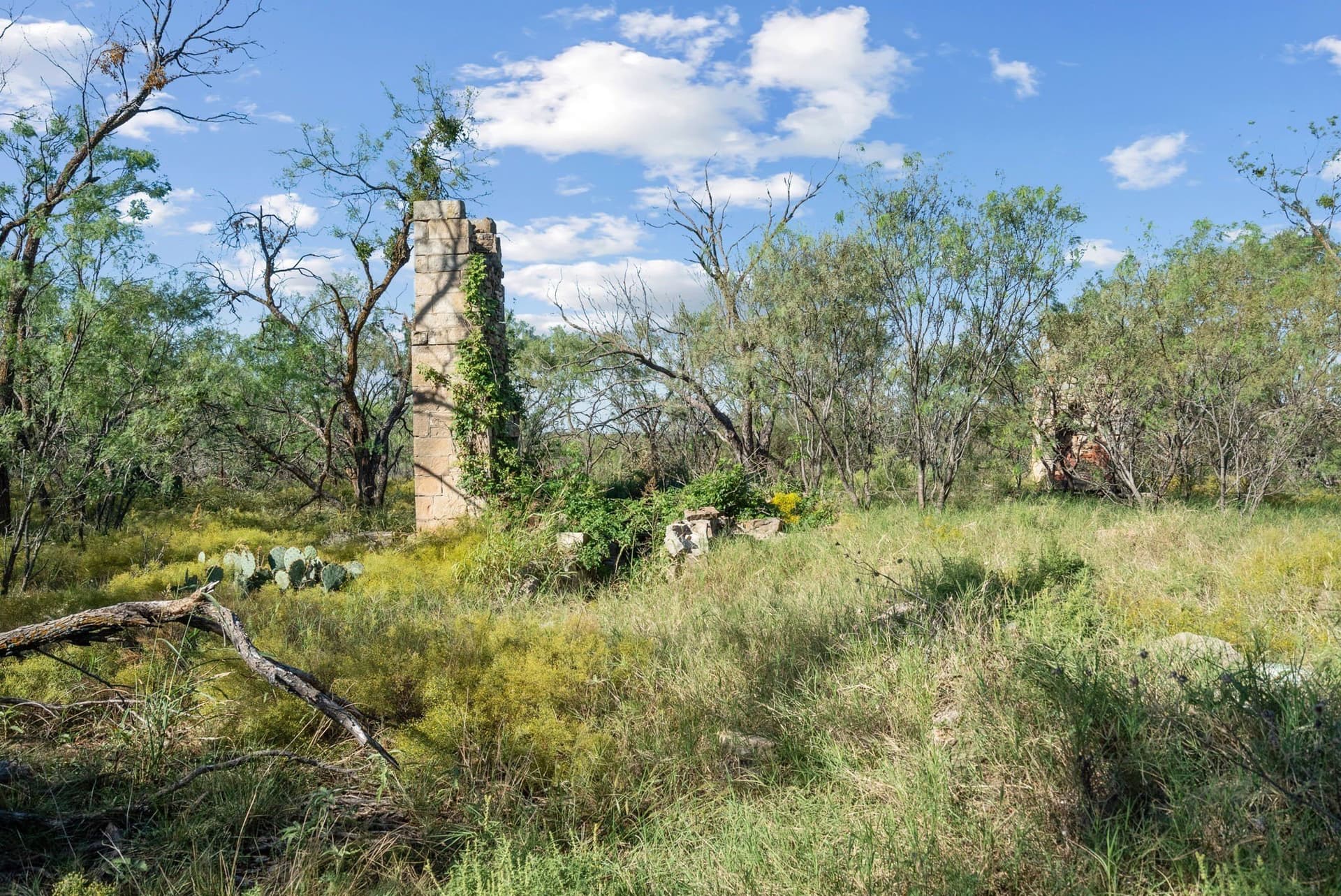 56.48 acres in Coleman County - photo 13
