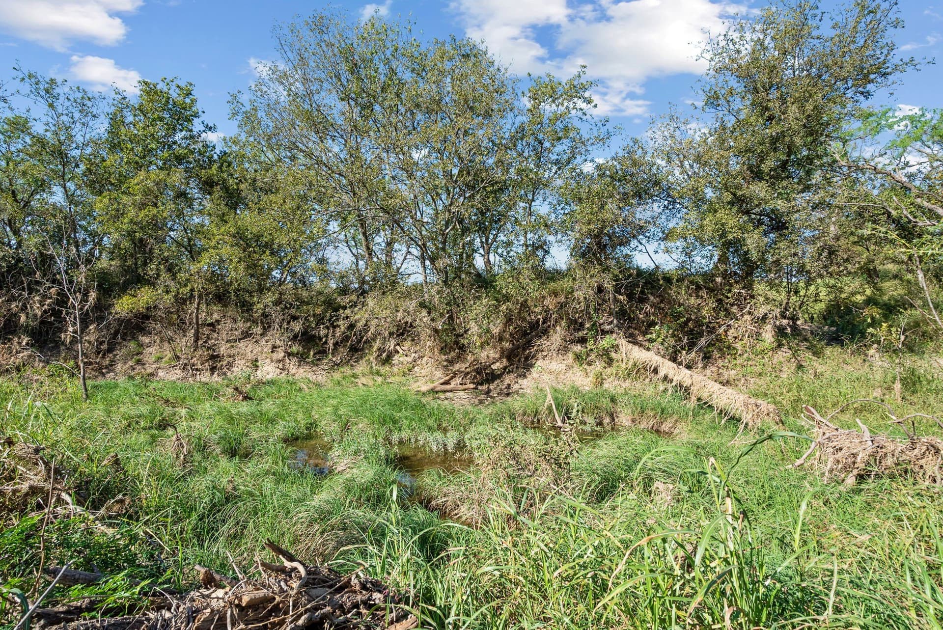 56.48 acres in Coleman County - photo 31