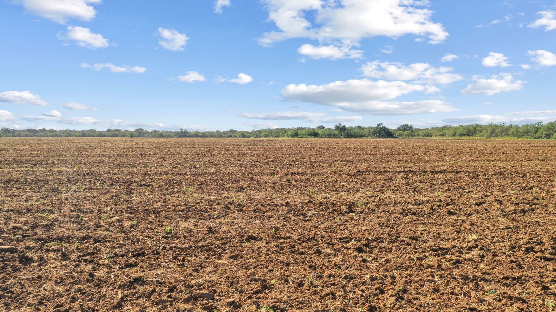 56.48 acres in Coleman County - photo 4