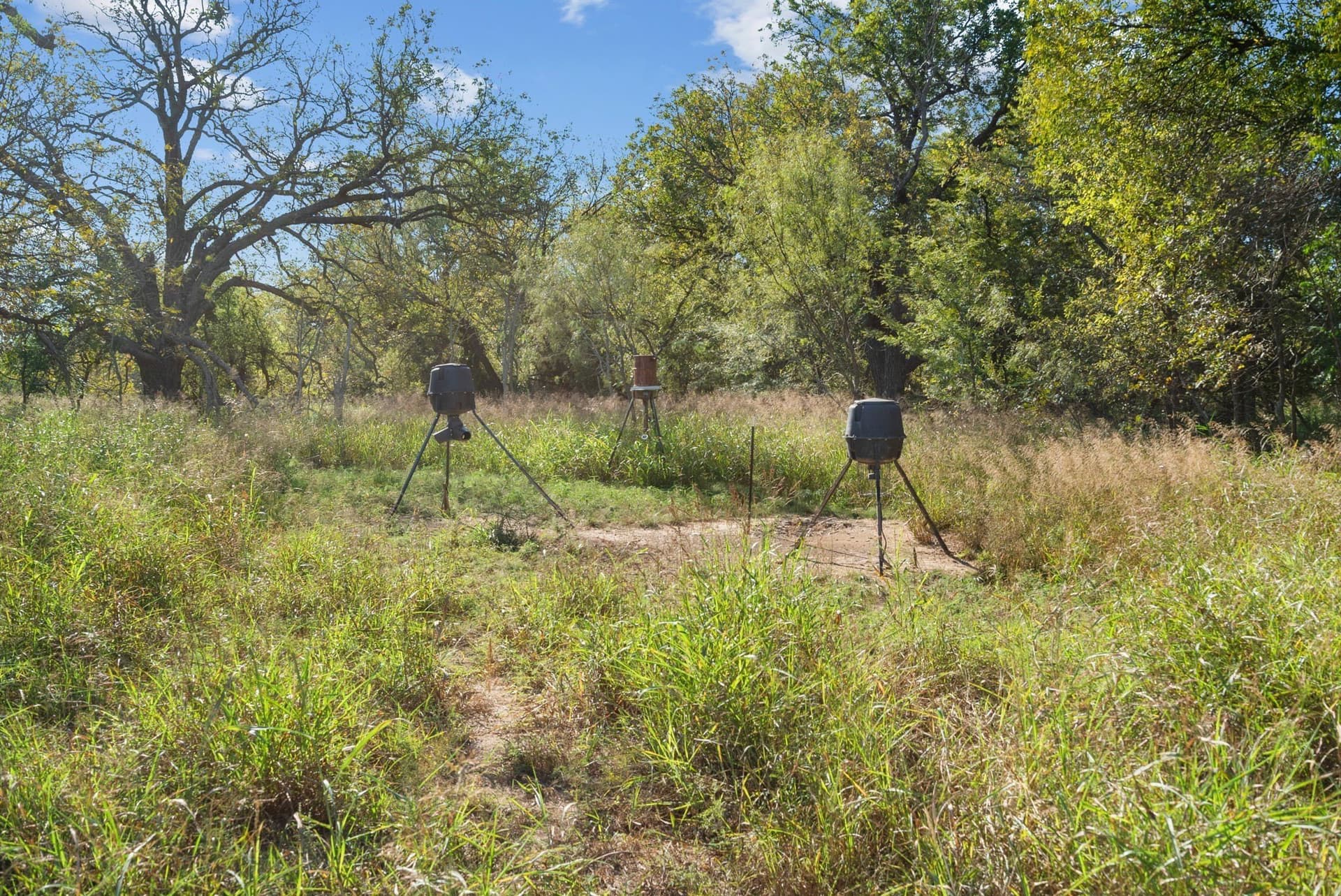 56.48 acres in Coleman County - photo 22