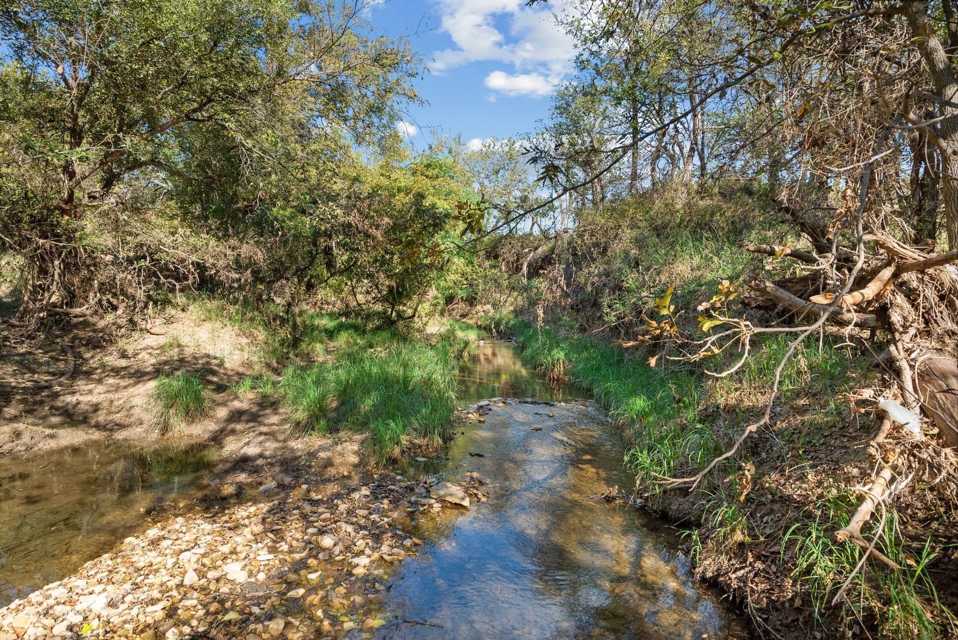 56.48 acres in Coleman County - photo 25