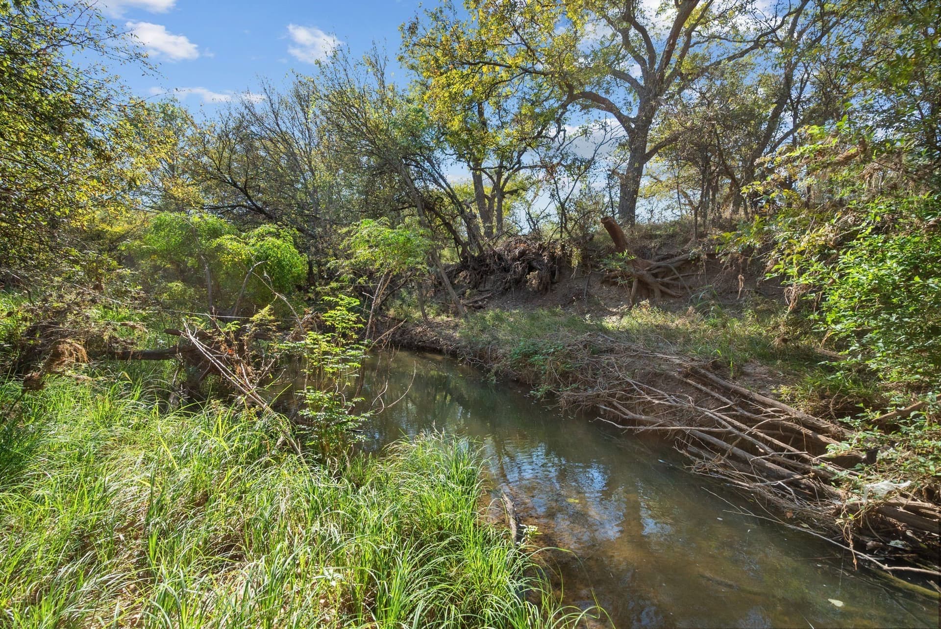 56.48 acres in Coleman County - photo 2