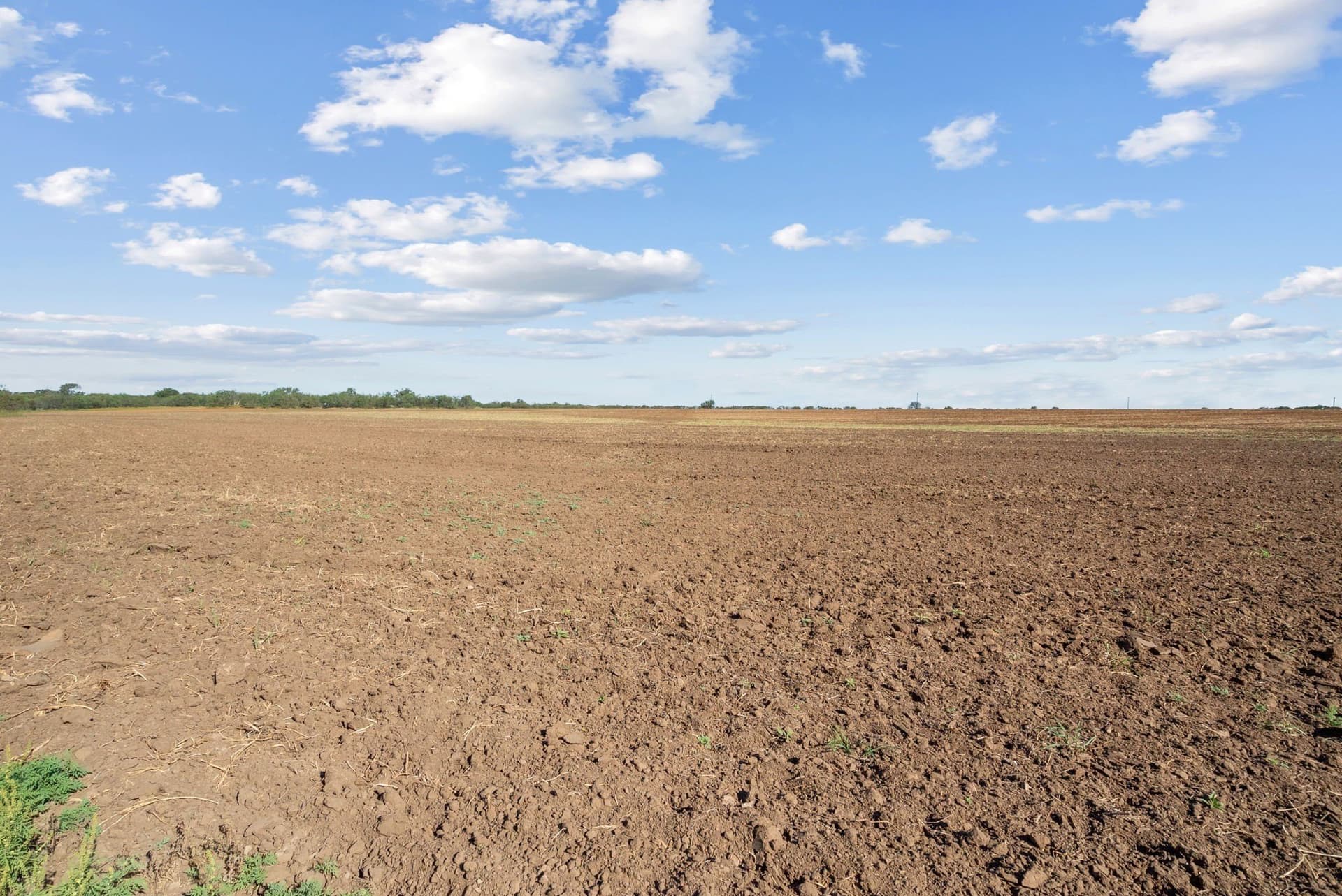 56.48 acres in Coleman County - photo 28