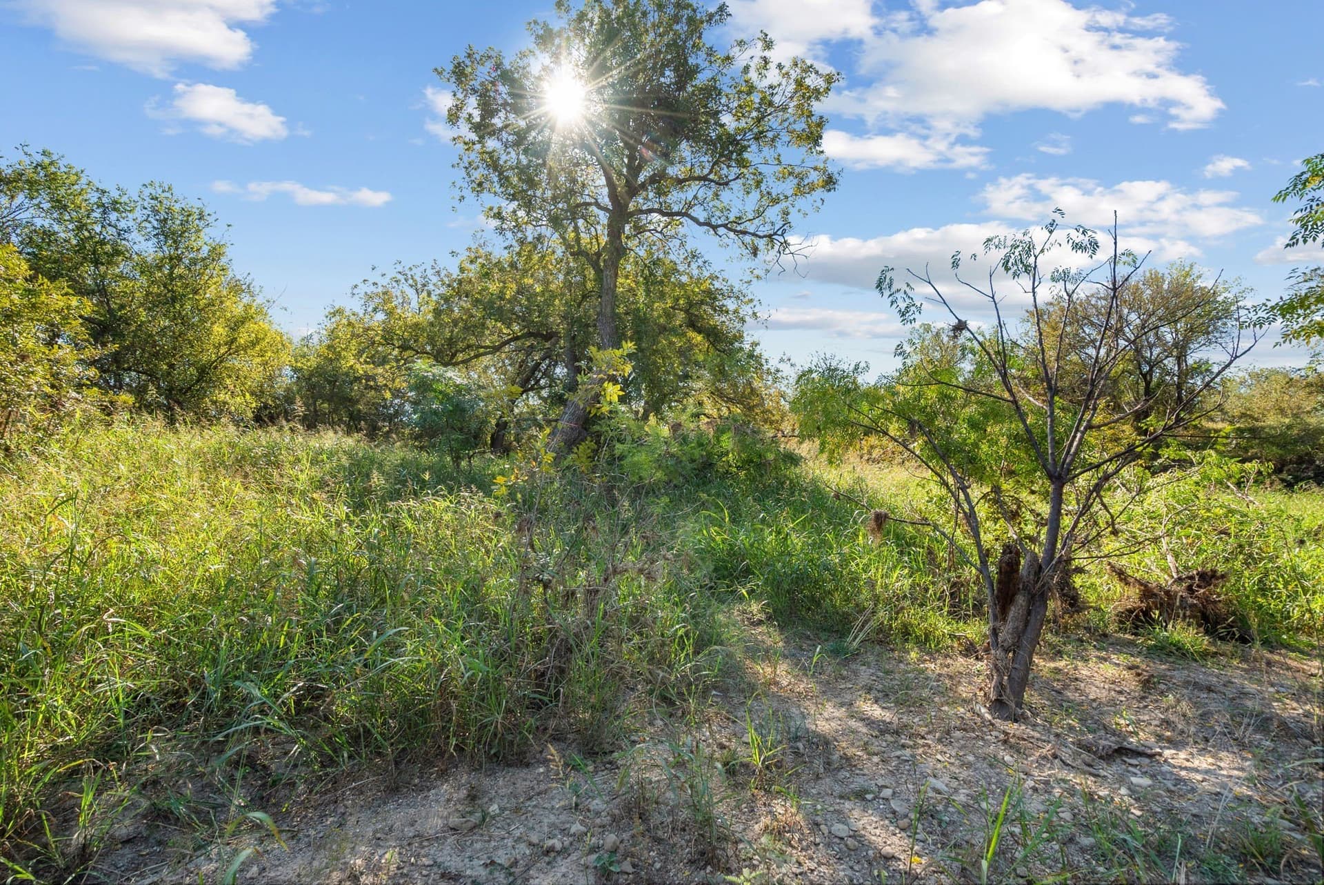 56.48 acres in Coleman County - photo 30