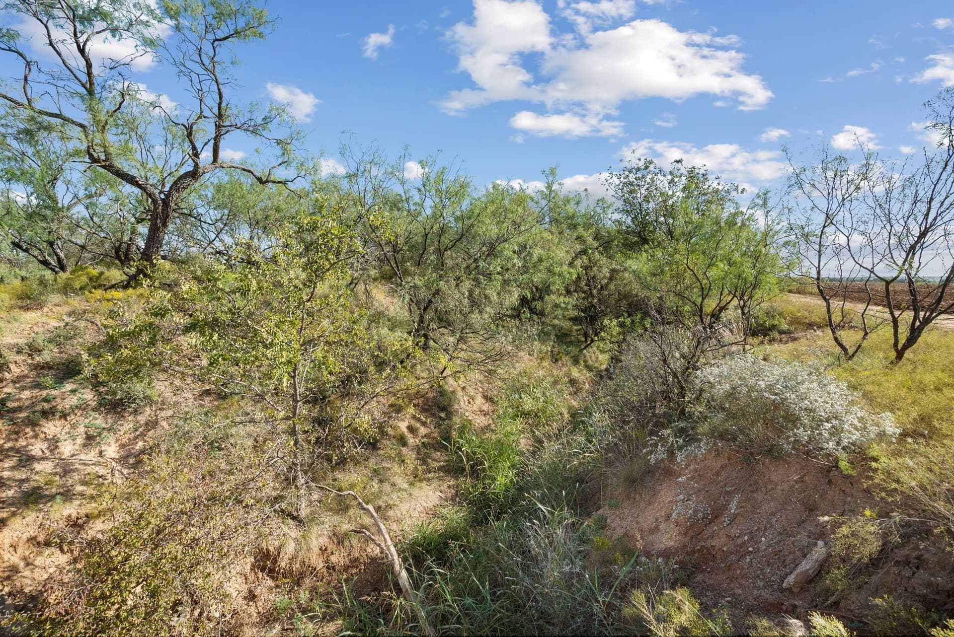 56.48 acres in Coleman County - photo 11