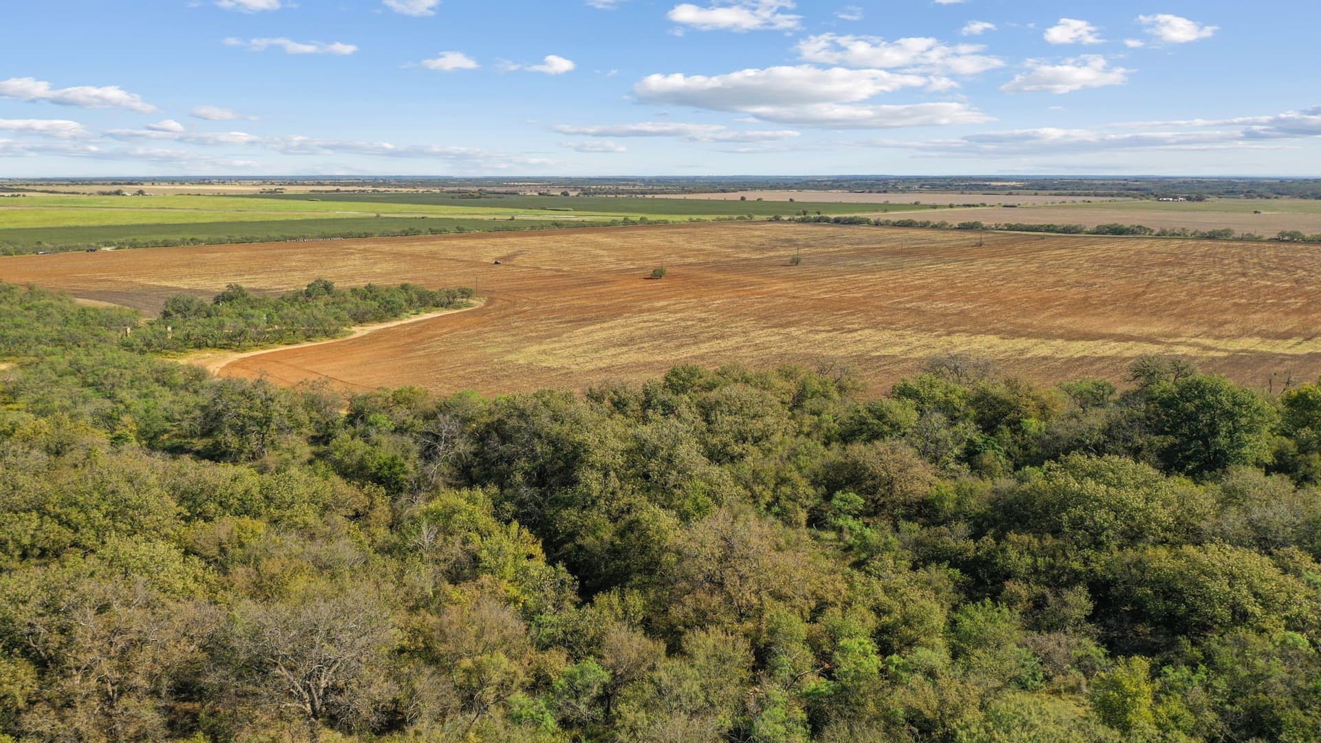 56.48 acres in Coleman County - photo 8