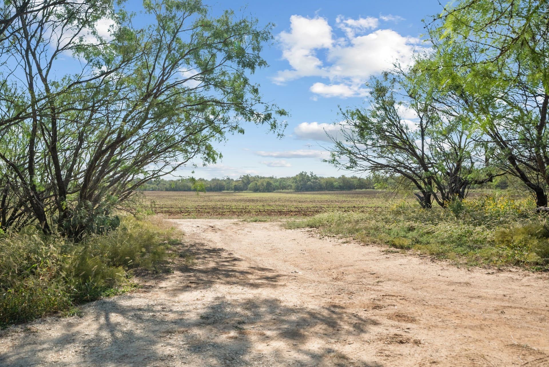 56.48 acres in Coleman County - photo 19