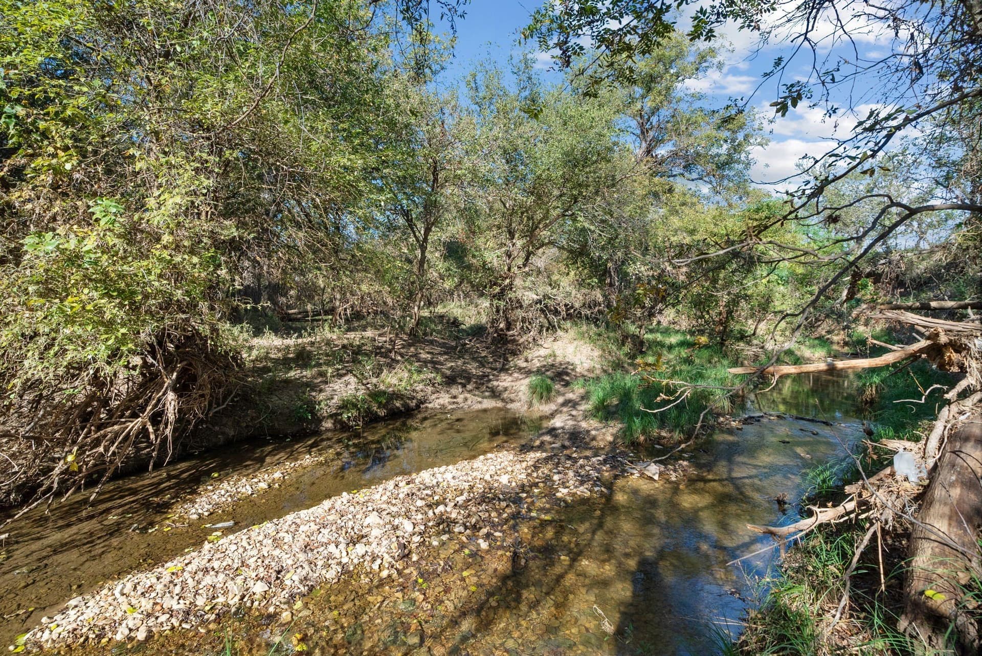 56.48 acres in Coleman County - photo 24