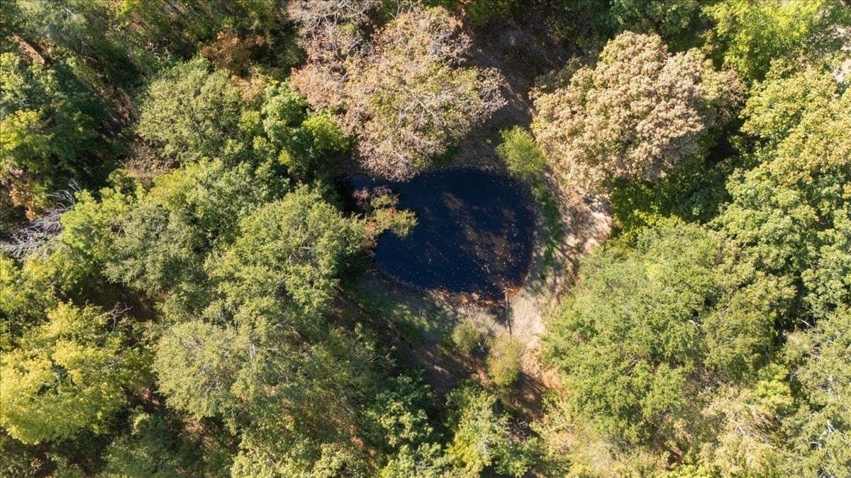 16 acres in Upshur County - photo 4