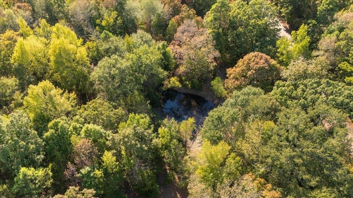 16 acres in Upshur County - photo 5