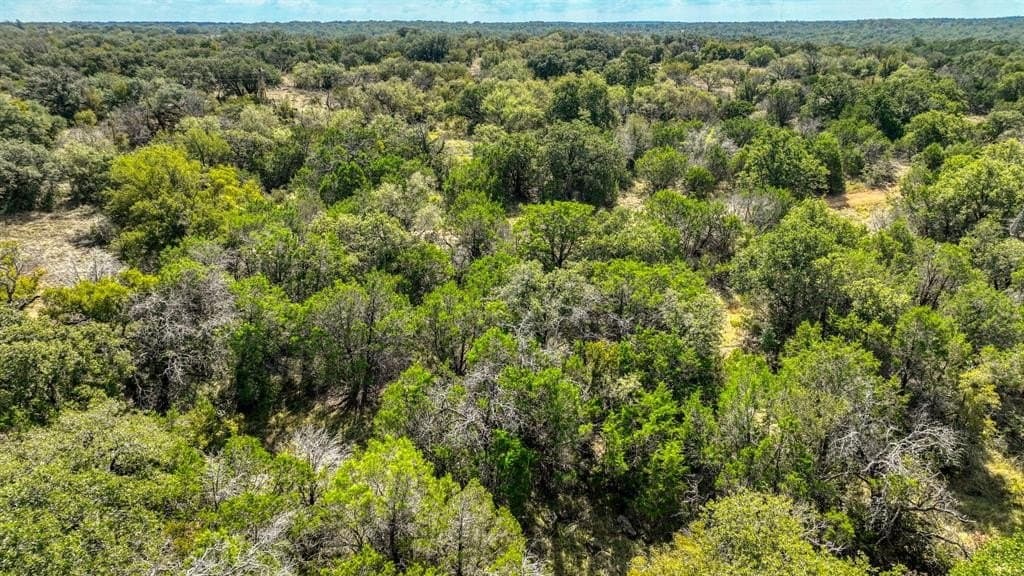 34.15 acres in Palo Pinto County gallery image 4